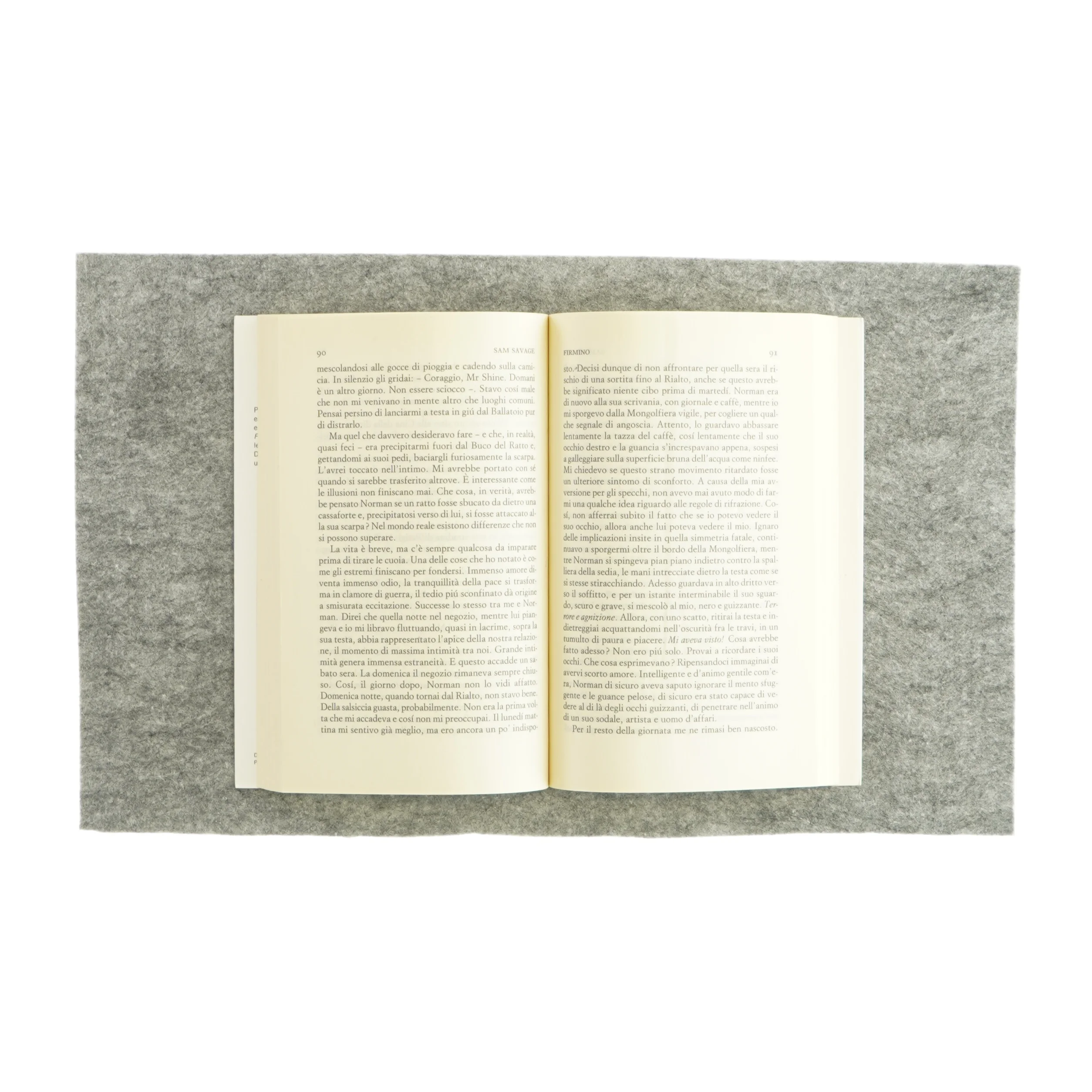 Firmino af Sam Savage (bog)