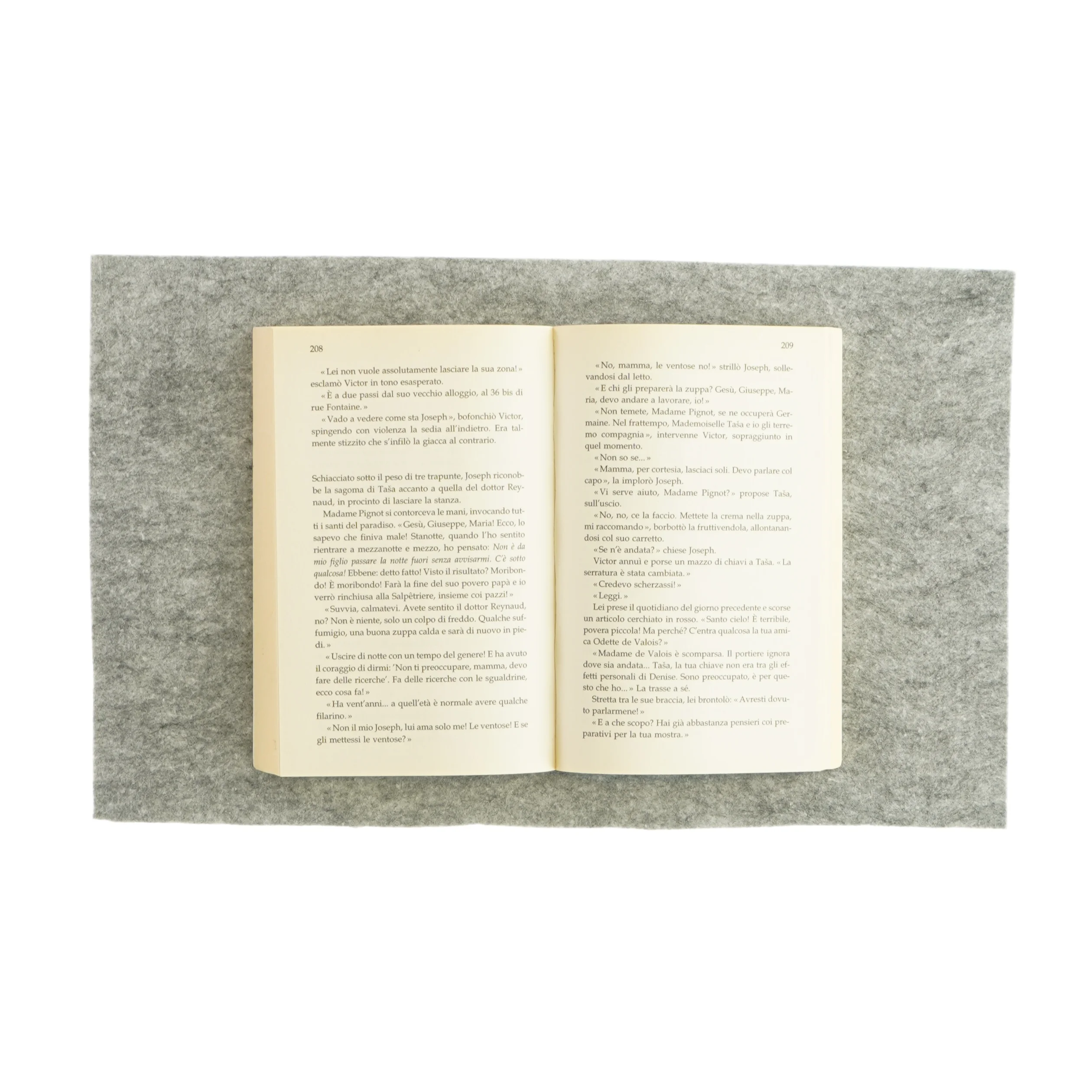 La donna del père-lachaise af Claude Izner (bog)