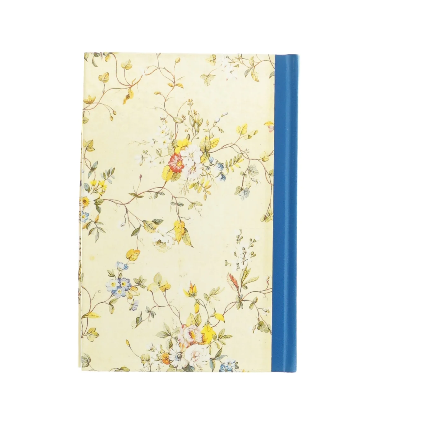 Camera con vista af Edward M. Forster (bog)