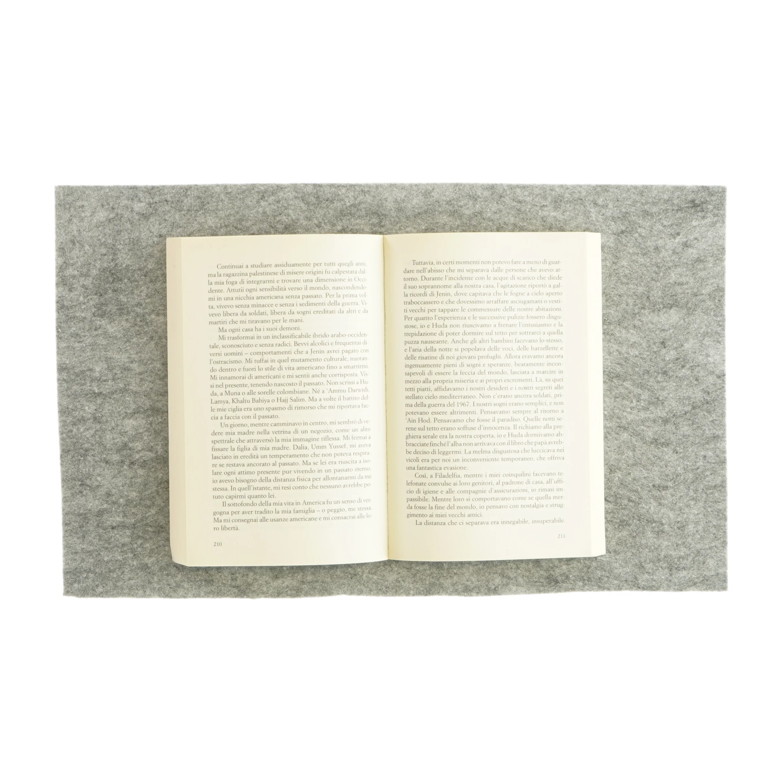 Ogni mattina a Jenin af Susan Abulhawa (bog)