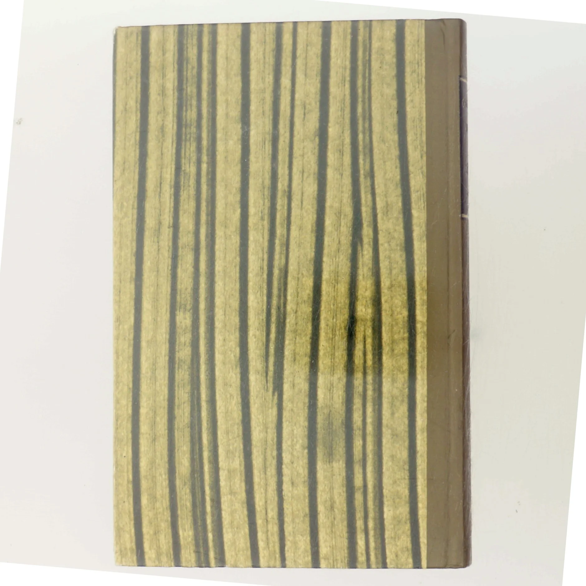 Knagsted af Gustav Wied (Bog)