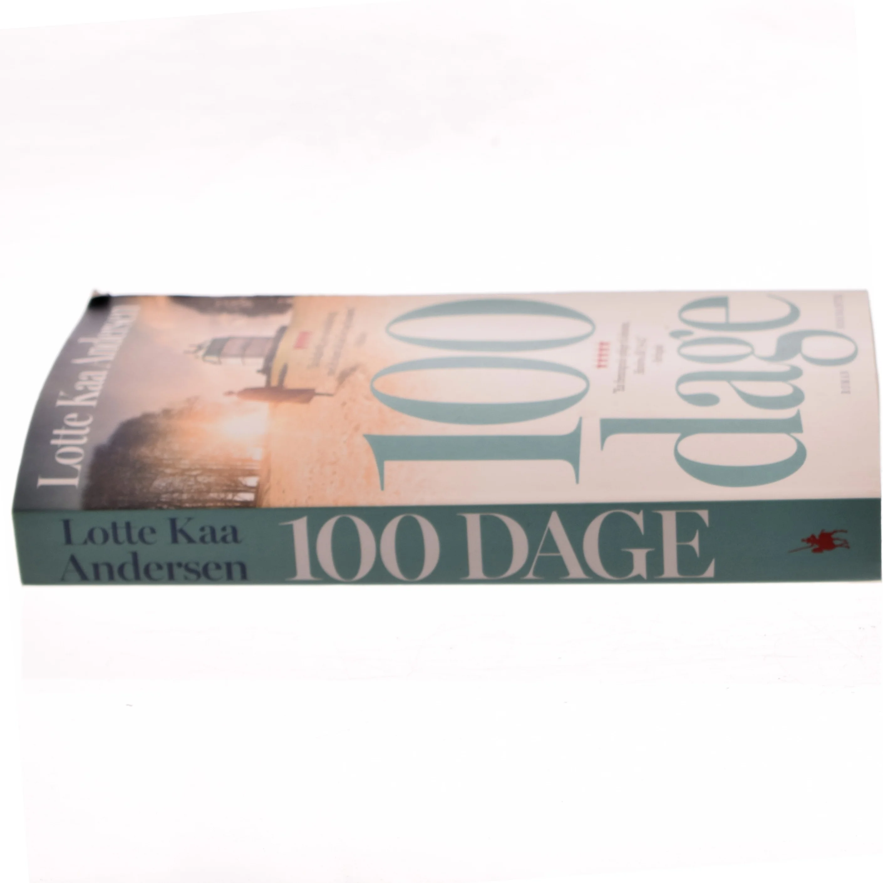 100 dage : roman af Lotte Kaa Andersen (Bog)