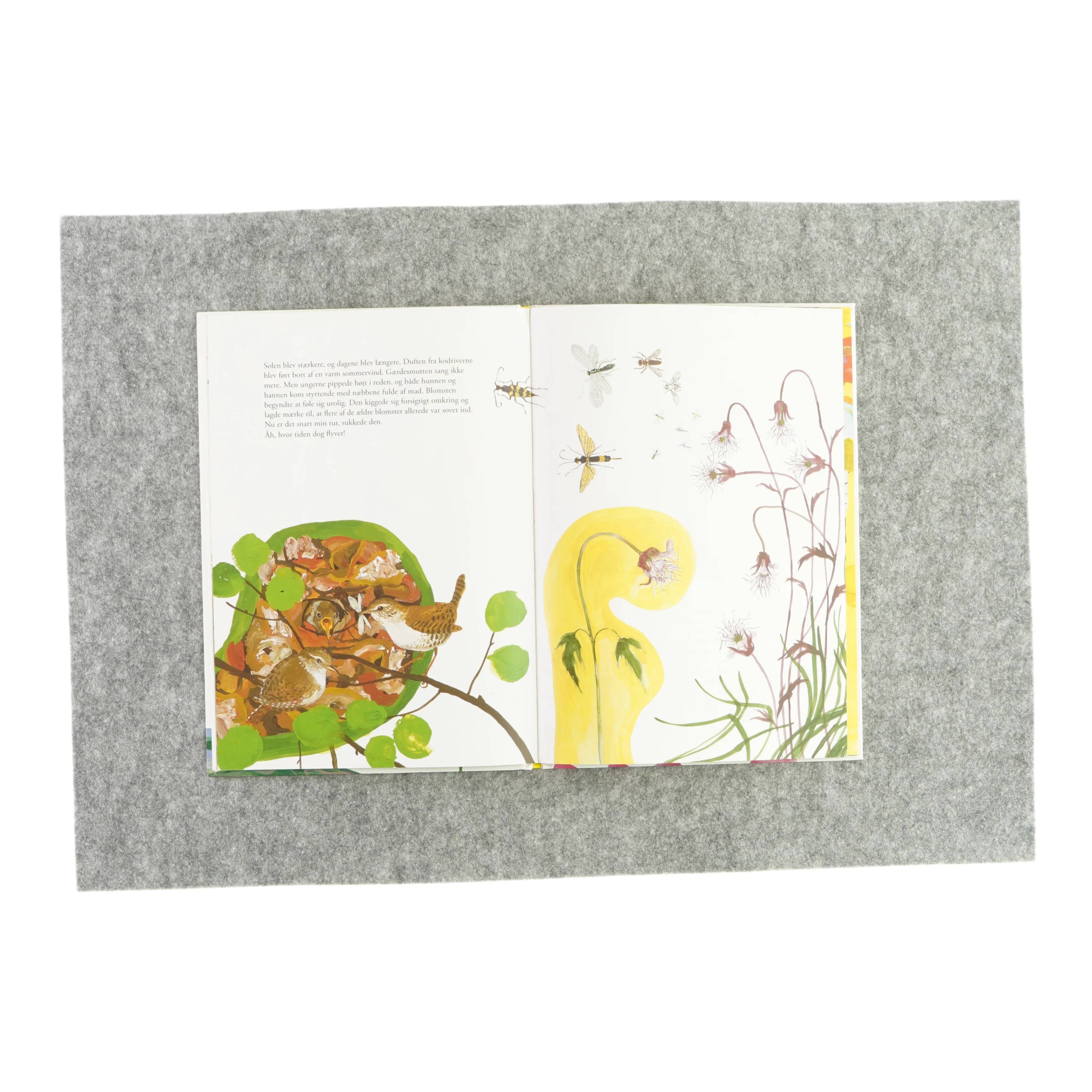 Et blomsterliv af Stefan Casta og Sara Lundberg (bog)