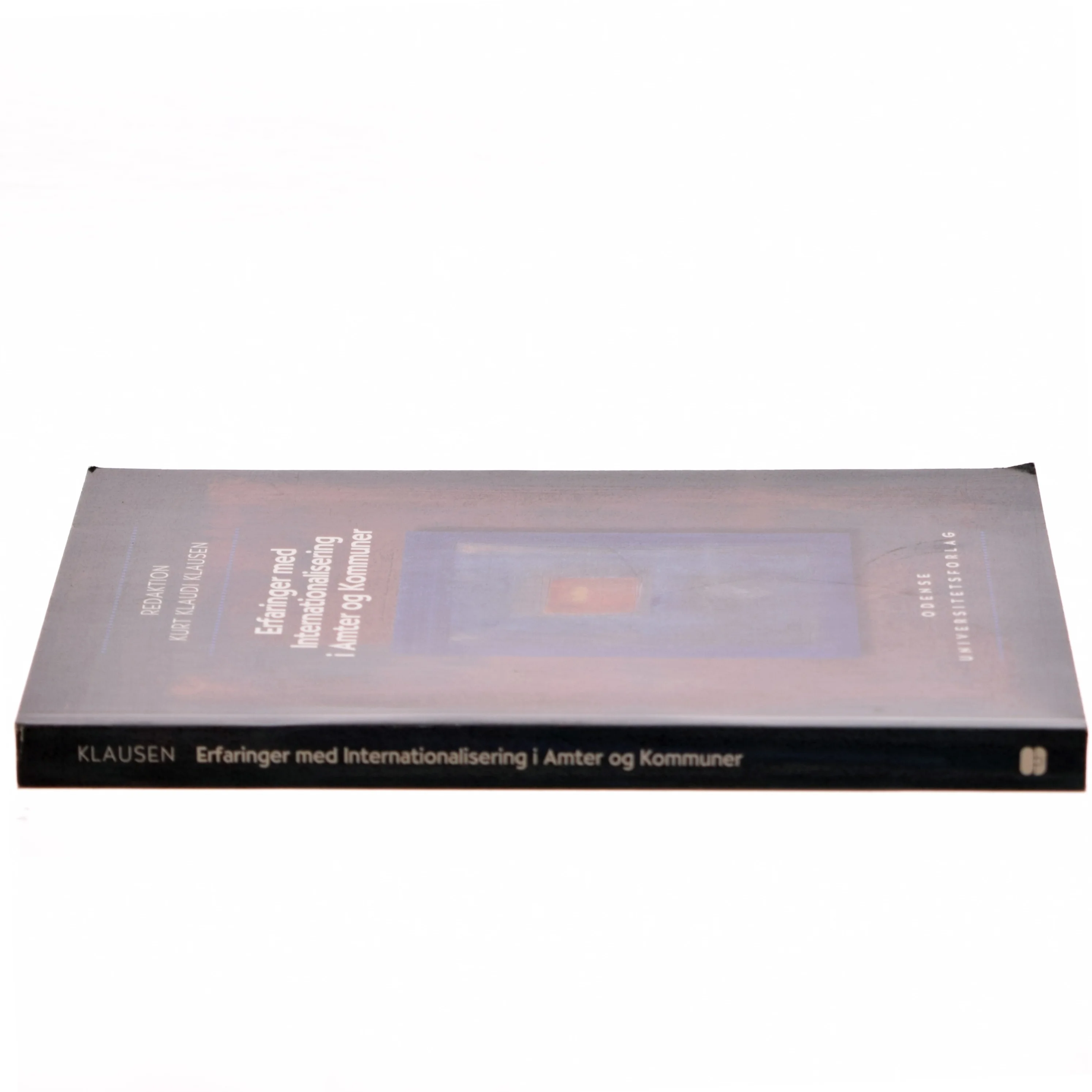 Erfaringer med Internationalisering i Amter og Kommuner af Kurt Klaudi Klausen (Bog)