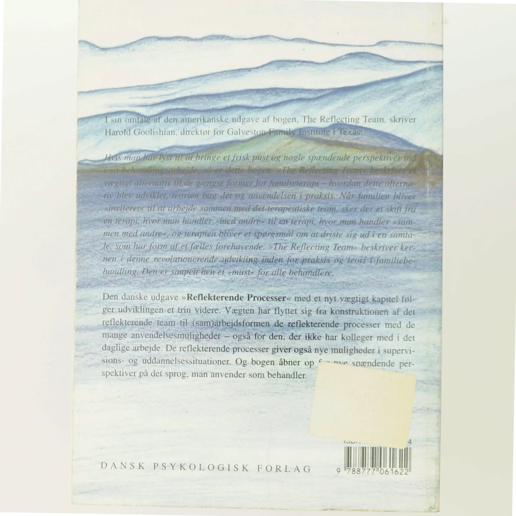 Reflekterende processer : samtaler og samtaler om samtalerne af Tom Andersen (f. 1936) (Bog)