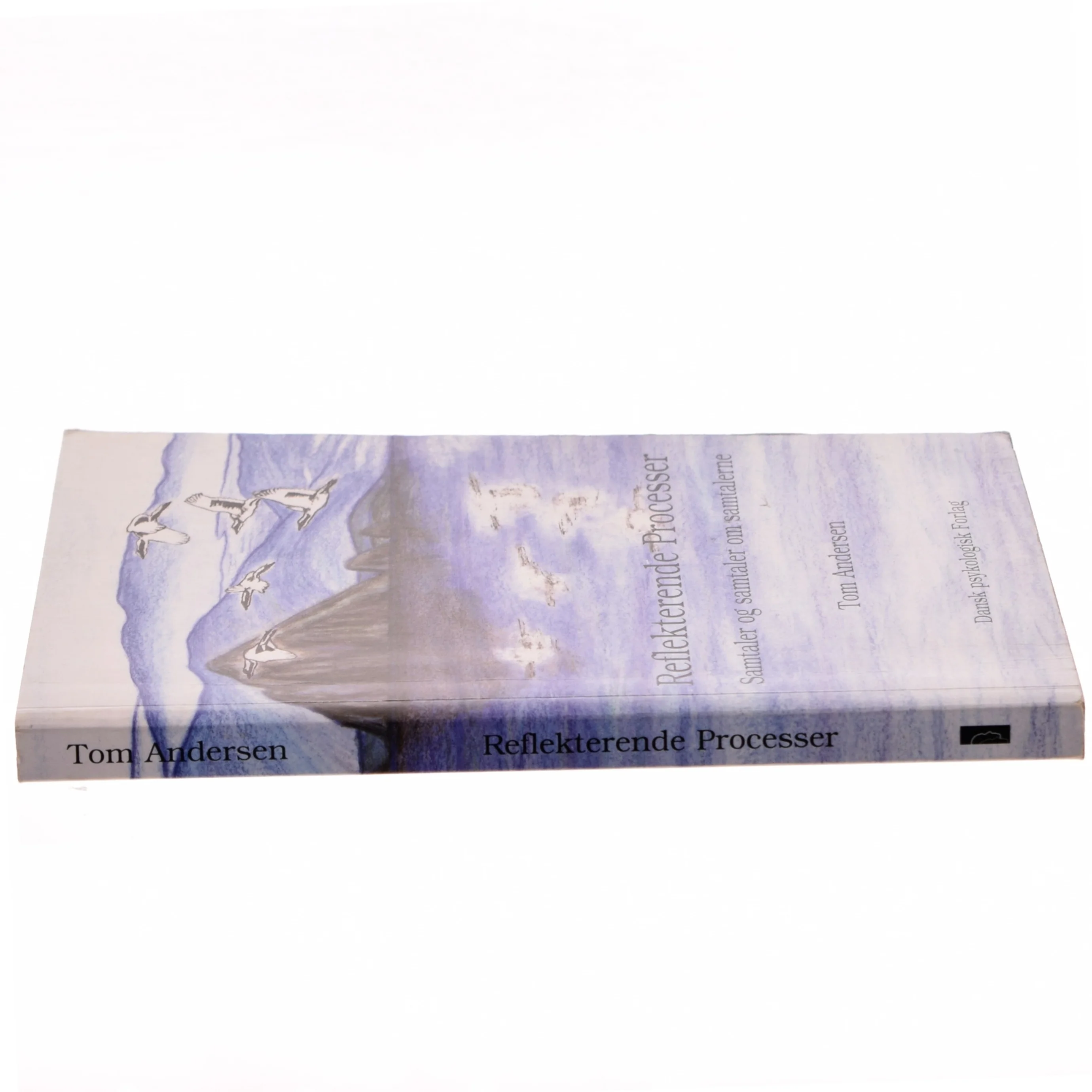 Reflekterende processer : samtaler og samtaler om samtalerne af Tom Andersen (f. 1936) (Bog)