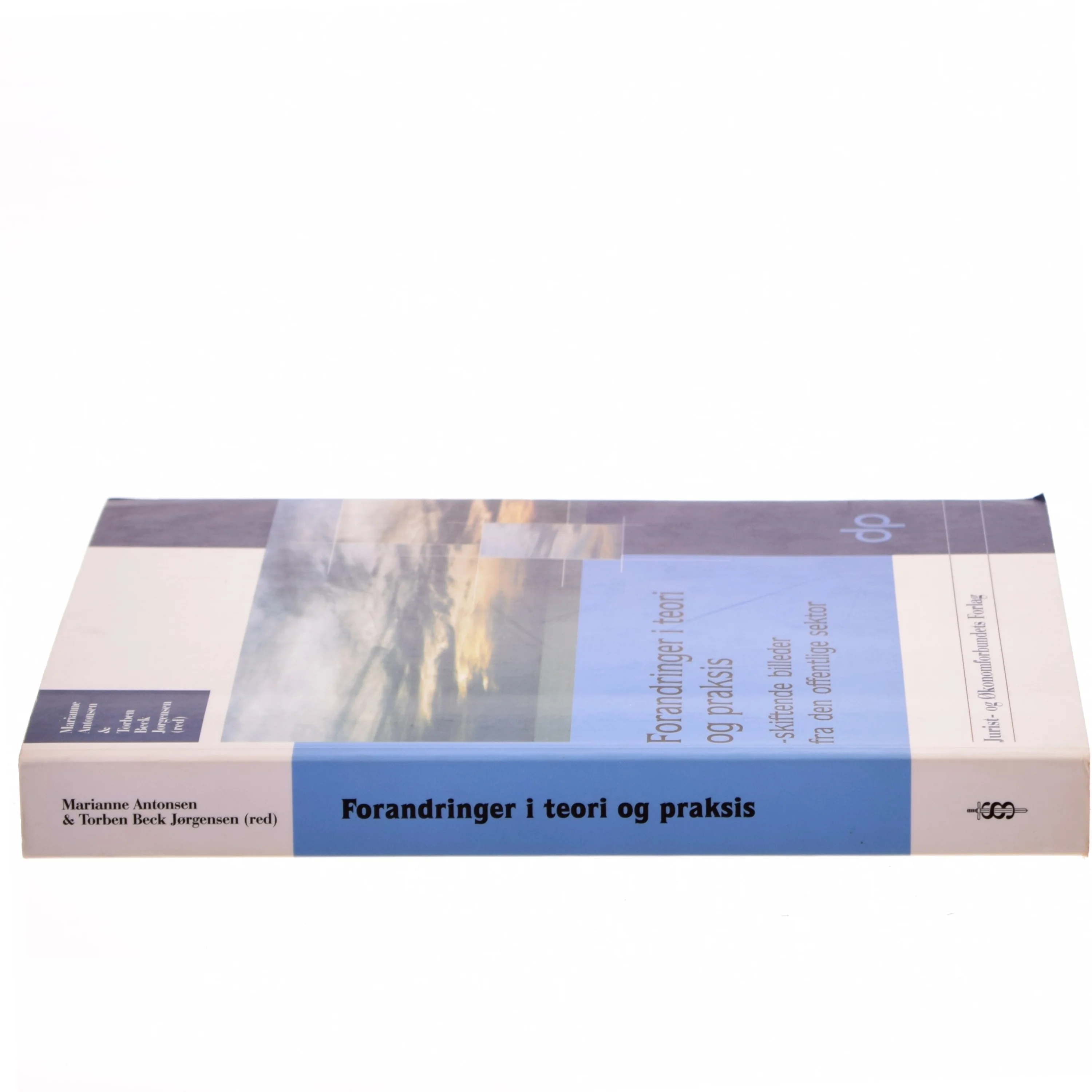 Forandringer i teori og praksis : skiftende billeder fra den offentlige sektor (Bog)