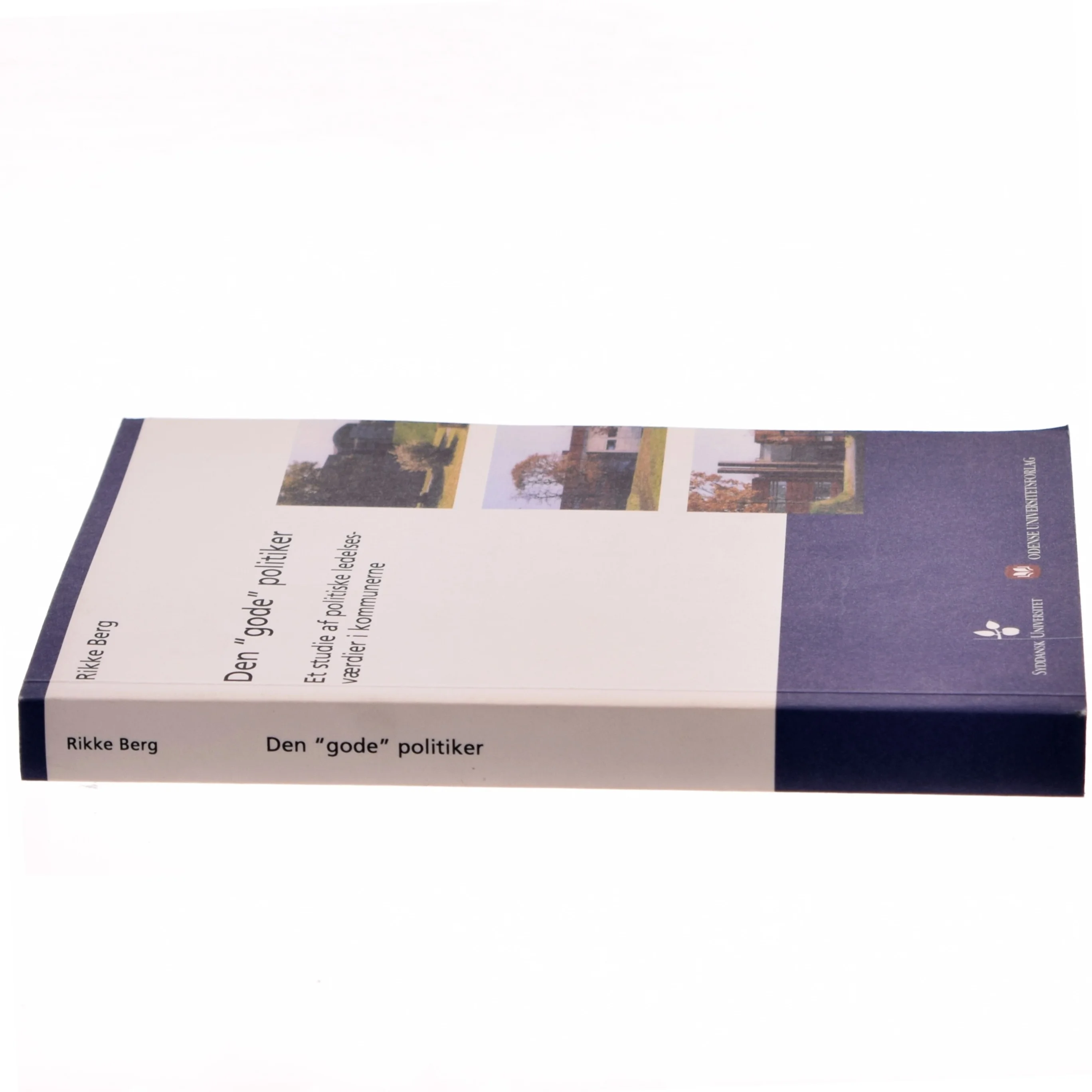 Den "gode" politiker af Rikke Berg (Bog)