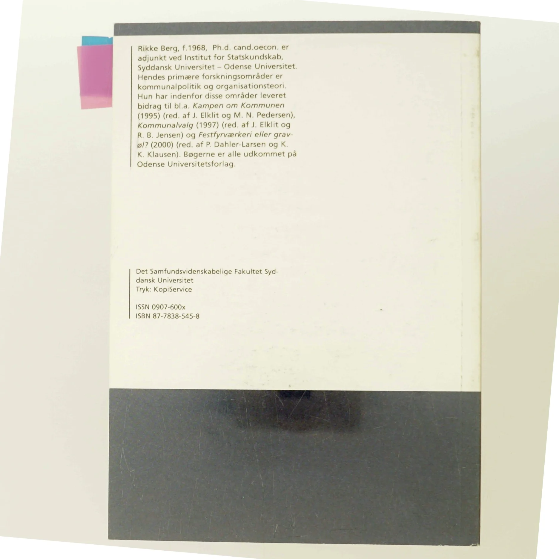 Den "gode" politiker af Rikke Berg (Bog)