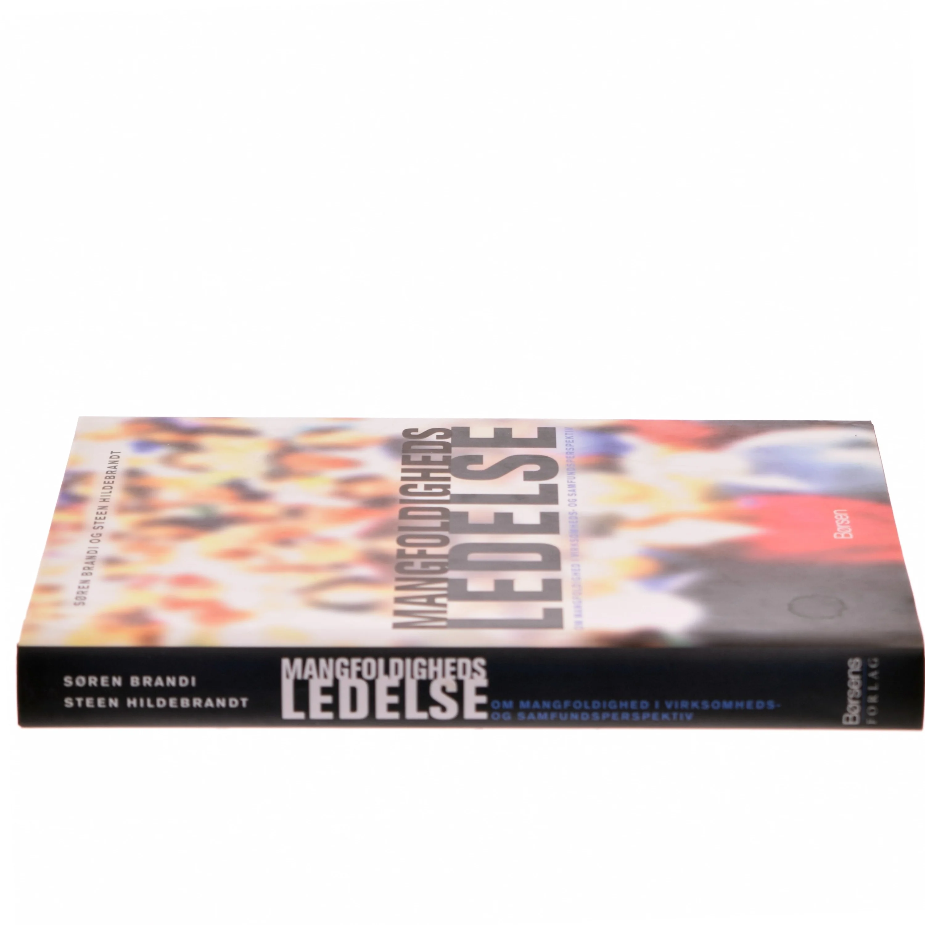 Mangfoldighedsledelse : om mangfoldighed i virksomheds- og samfundsperspektiv (Bog)