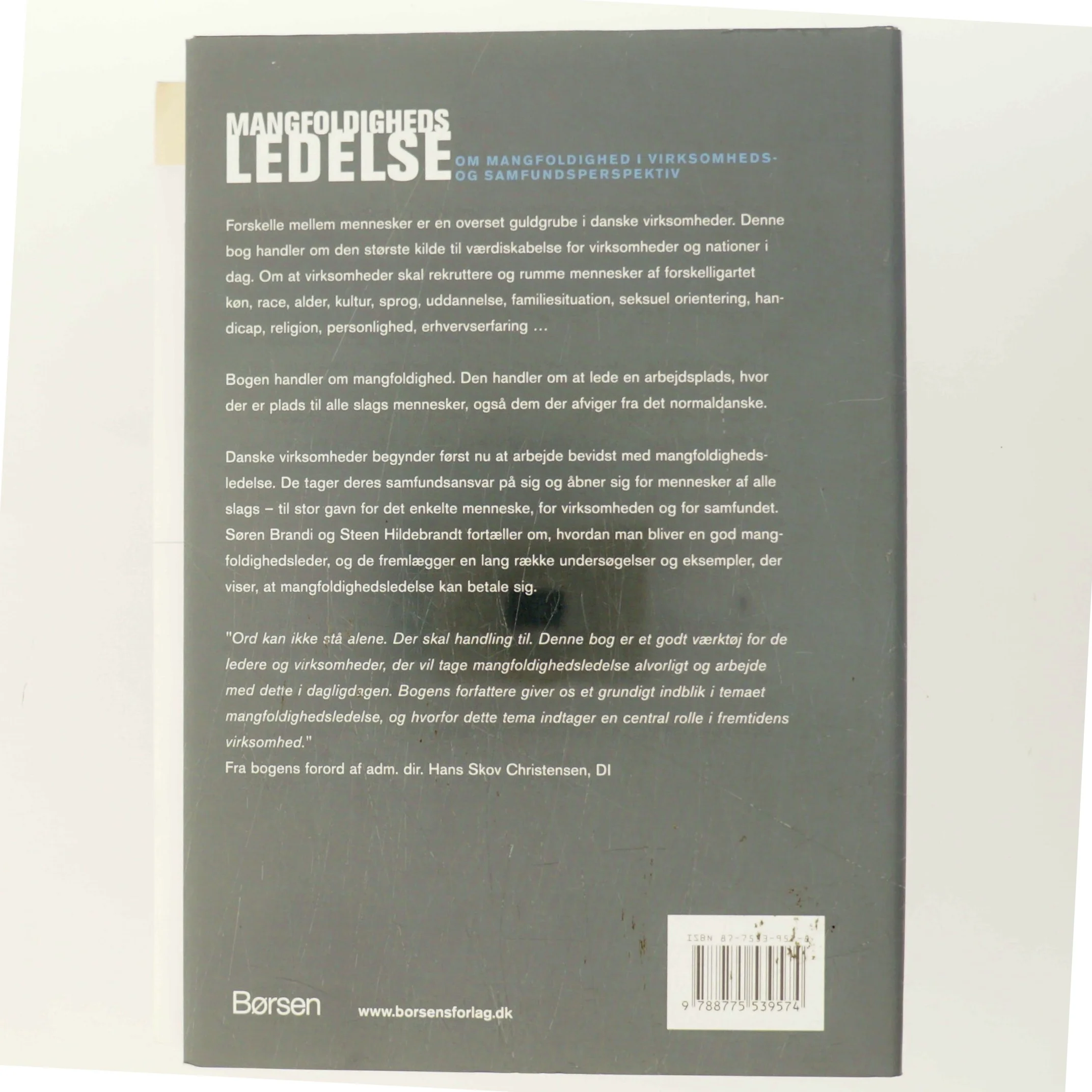 Mangfoldighedsledelse : om mangfoldighed i virksomheds- og samfundsperspektiv (Bog)