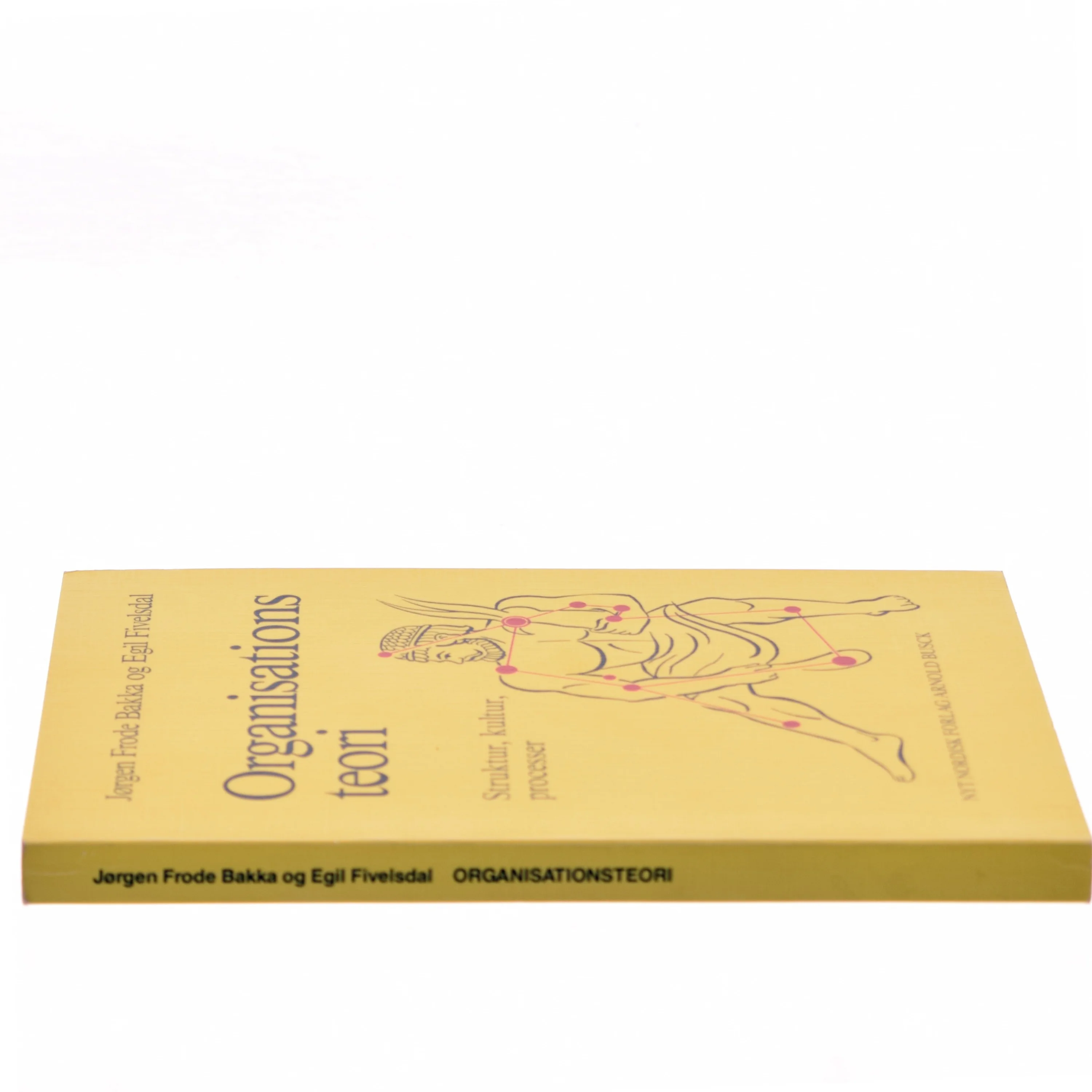 Organisationsteori : struktur, kultur, processer (Bog)