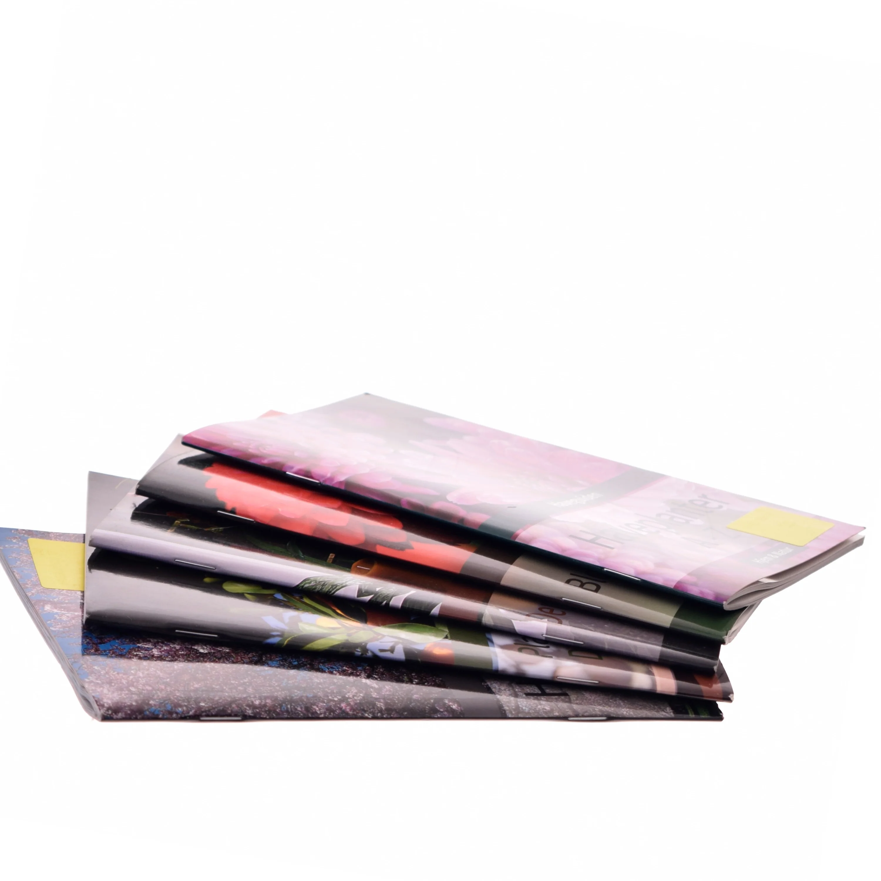 Haveguiden: Haveplanter A - Z af Ukendt (Bog)