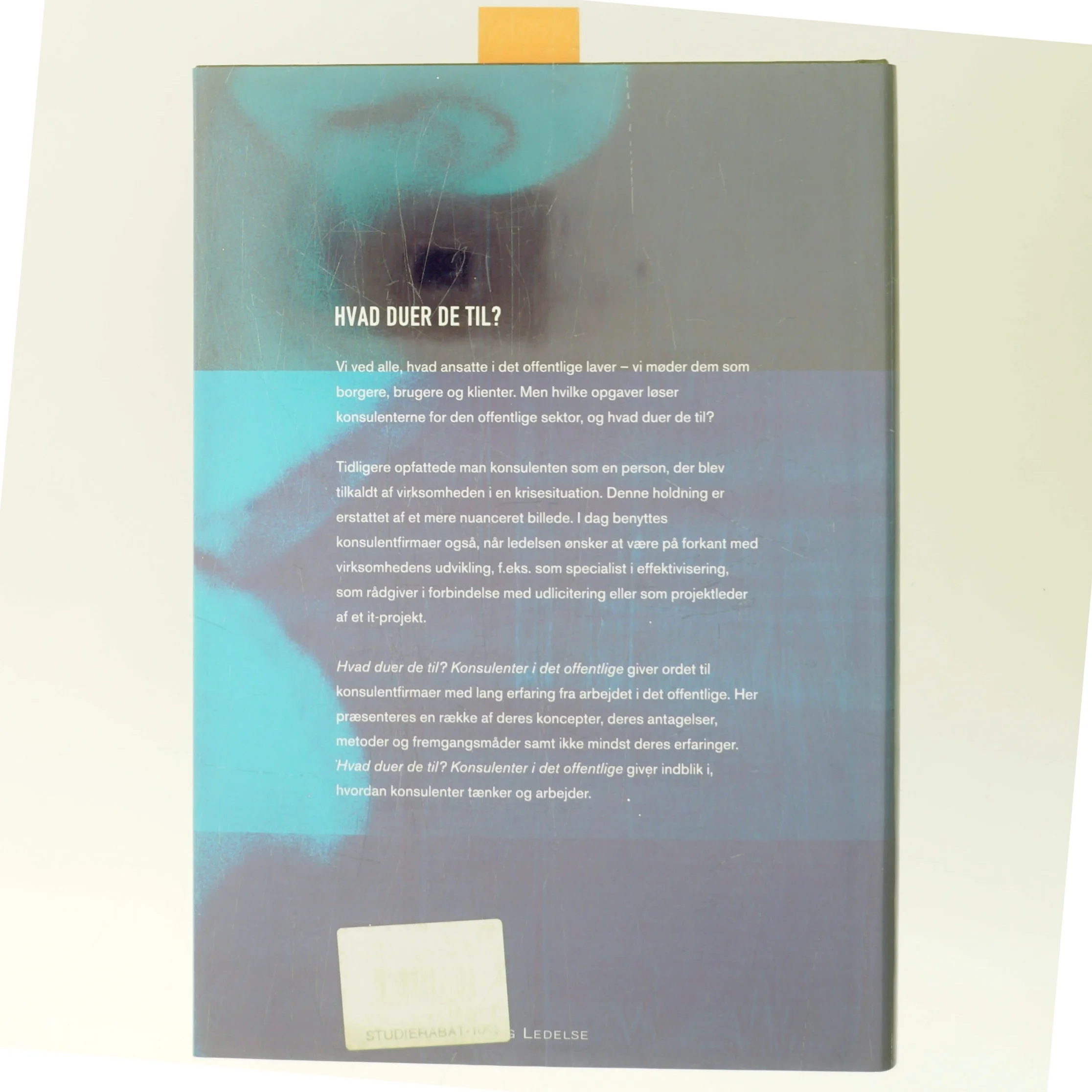 Hvad duer de til? af Steen Hildebrandt (Bog)