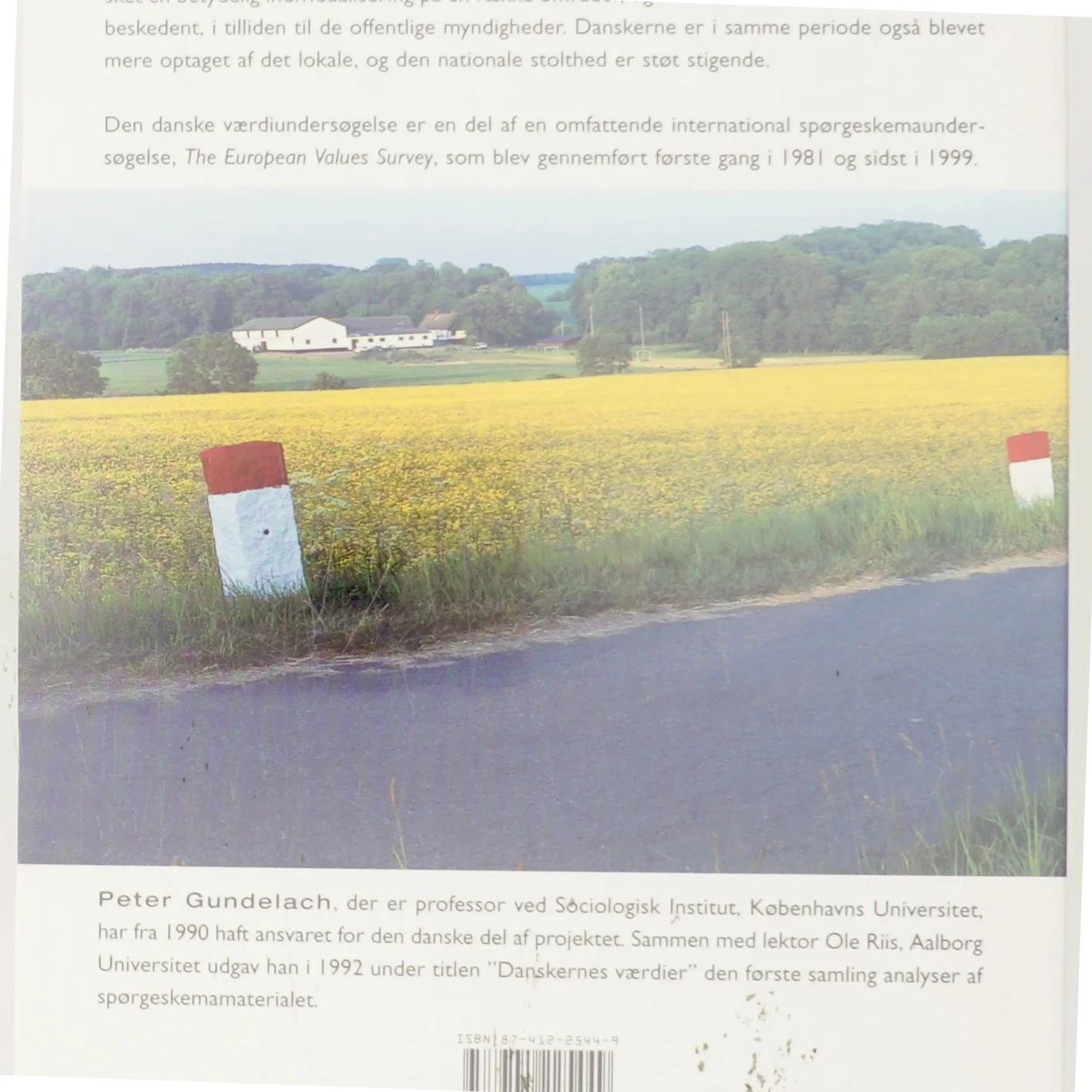 Danskernes værdier 1981-1999 af Peter Gundelach (Bog)