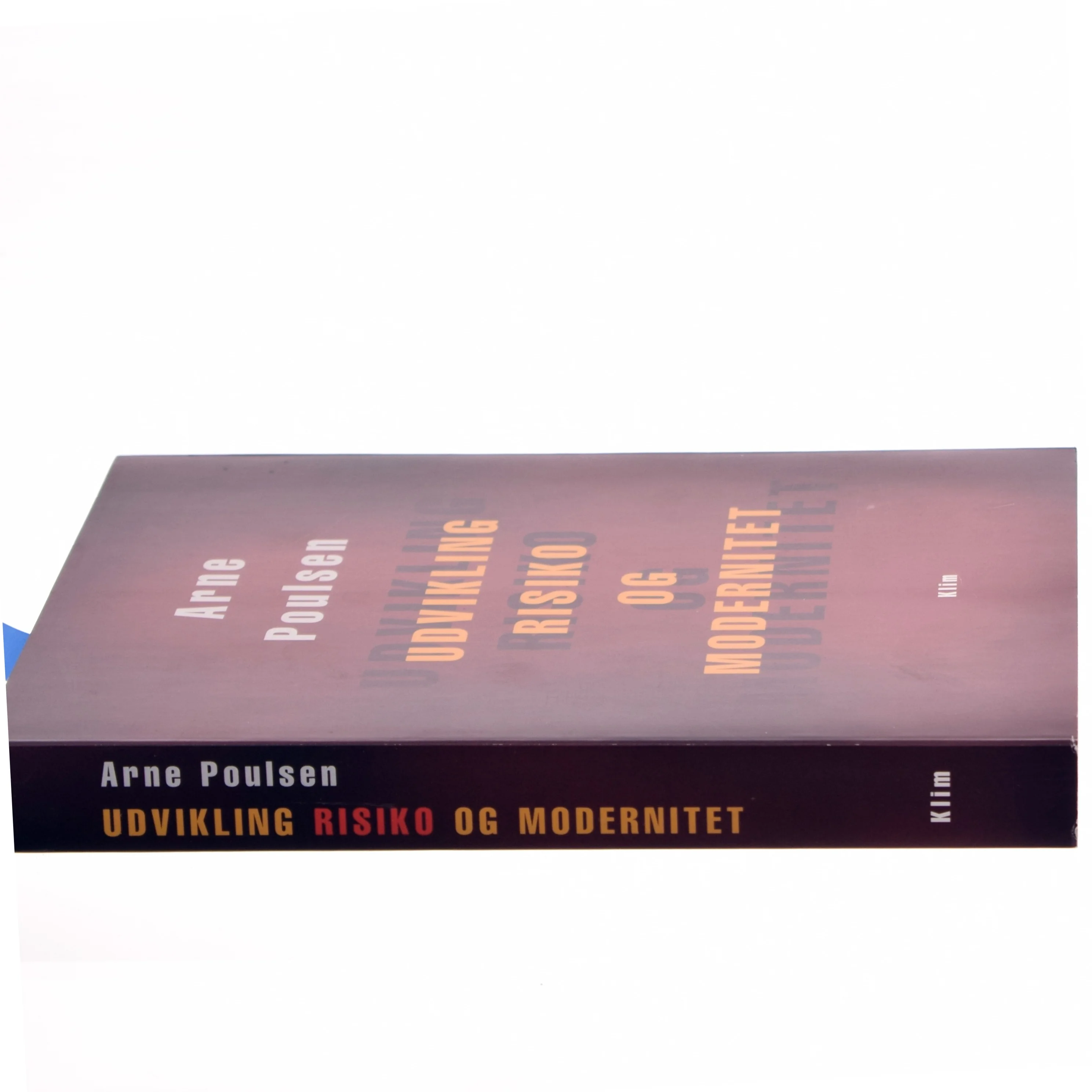 Udvikling Risiko og Modernitet af Arne Poulsen (Bog)