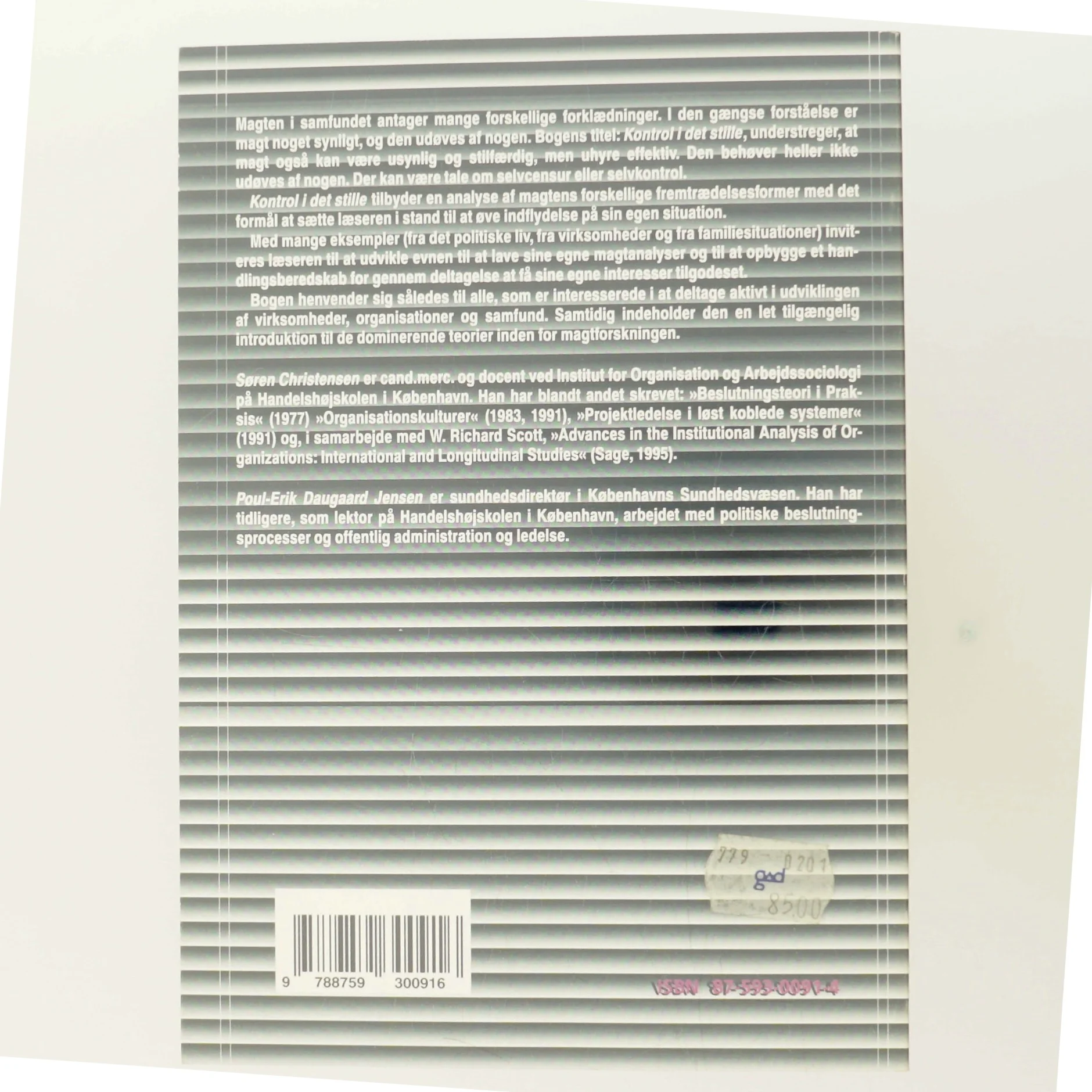 Kontrol i det stille : om magt og deltagelse (Bog)