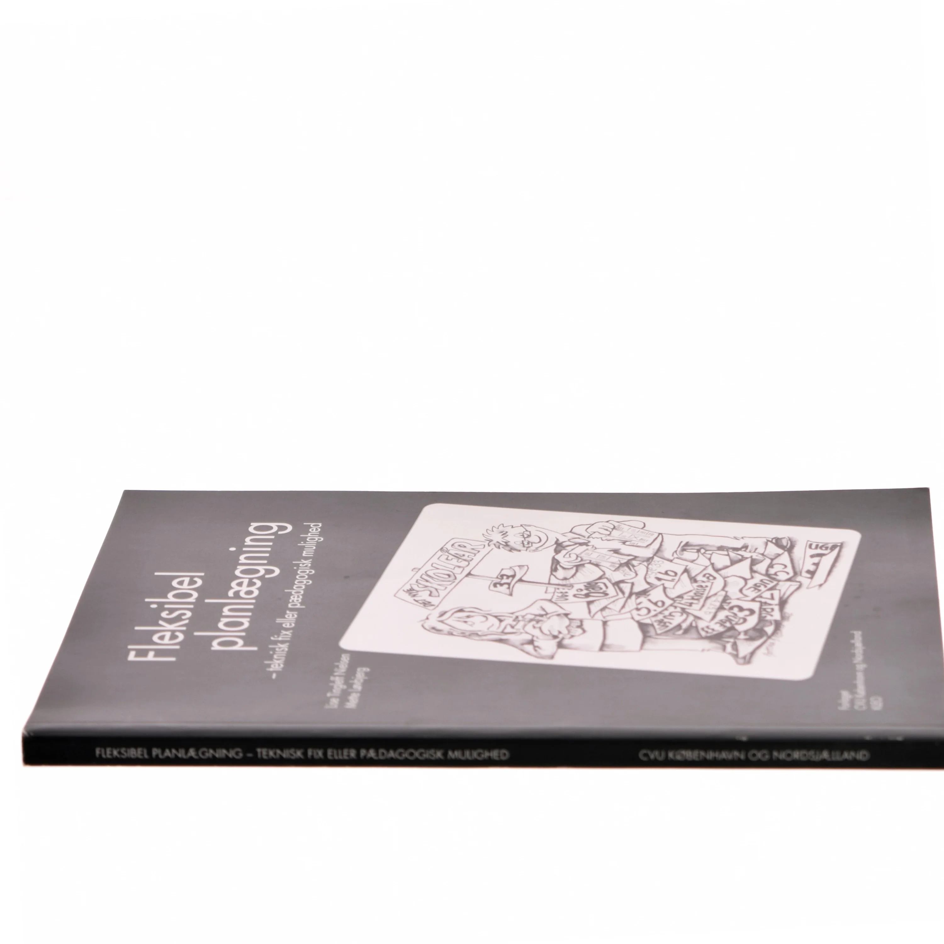 Fleksibel planlægning af Lise Tingleff Nielsen (Bog)