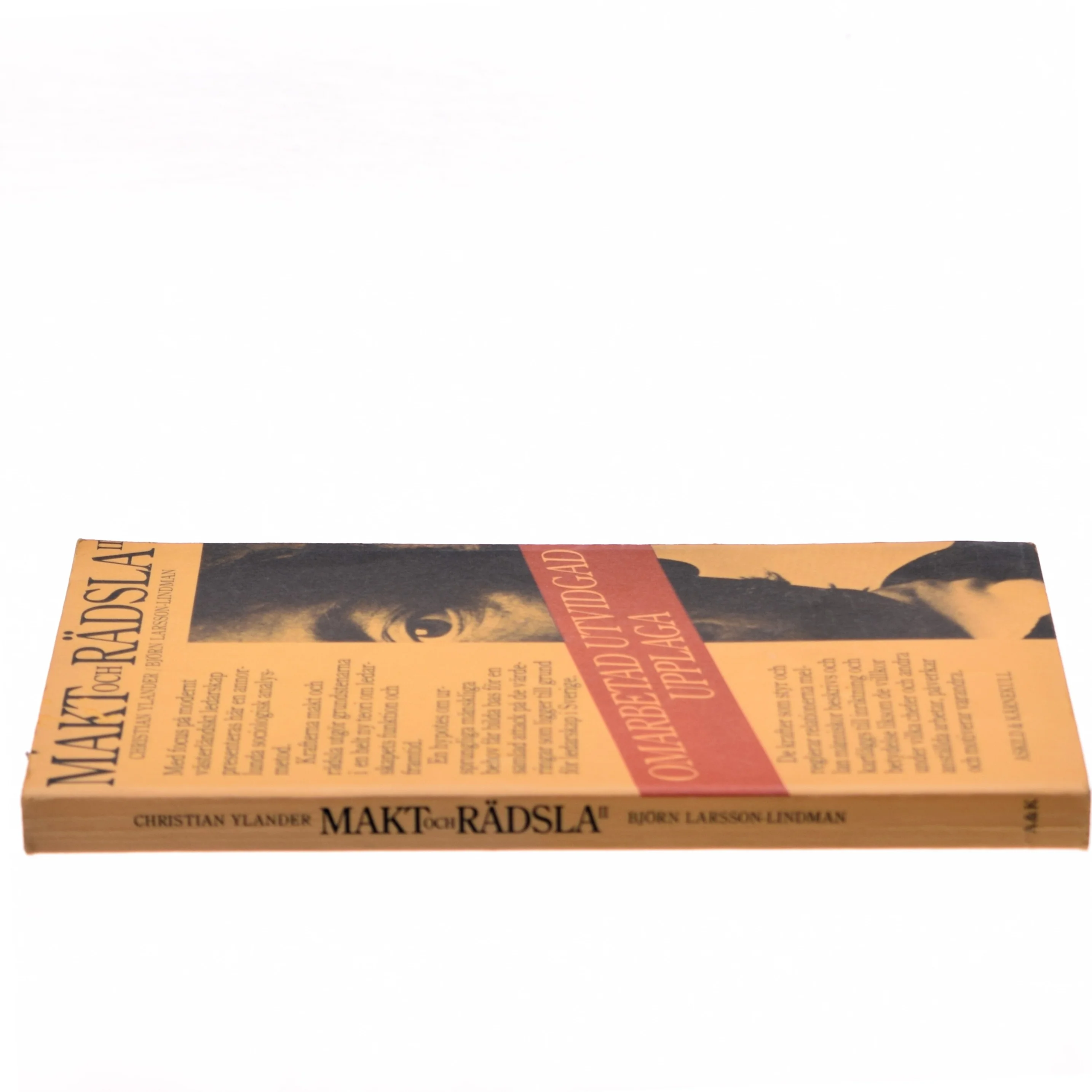 Makt och Rädsla II af Christian Ylander (Bog)