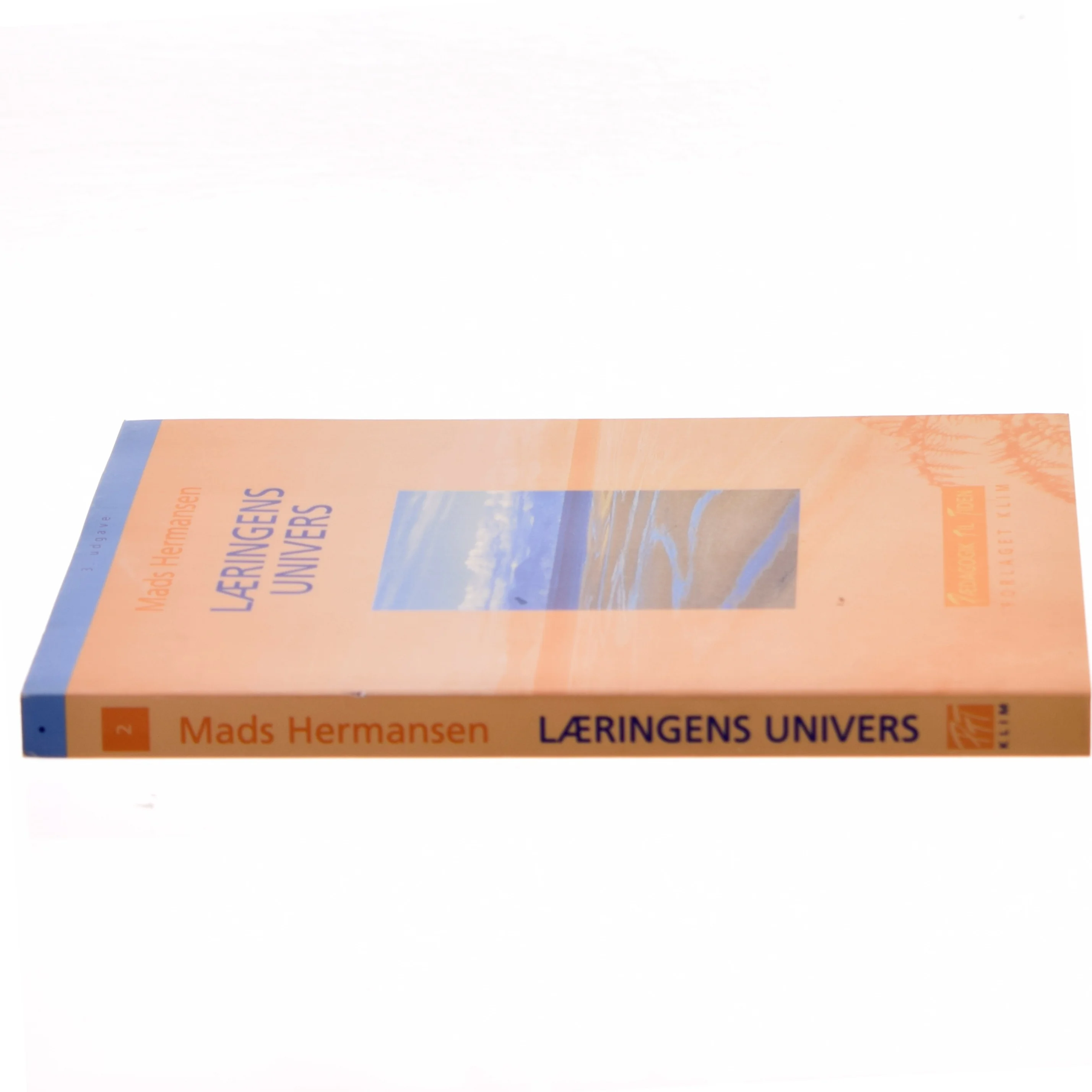 Læringens univers af Mads Hermansen (f. 1946) (Bog)