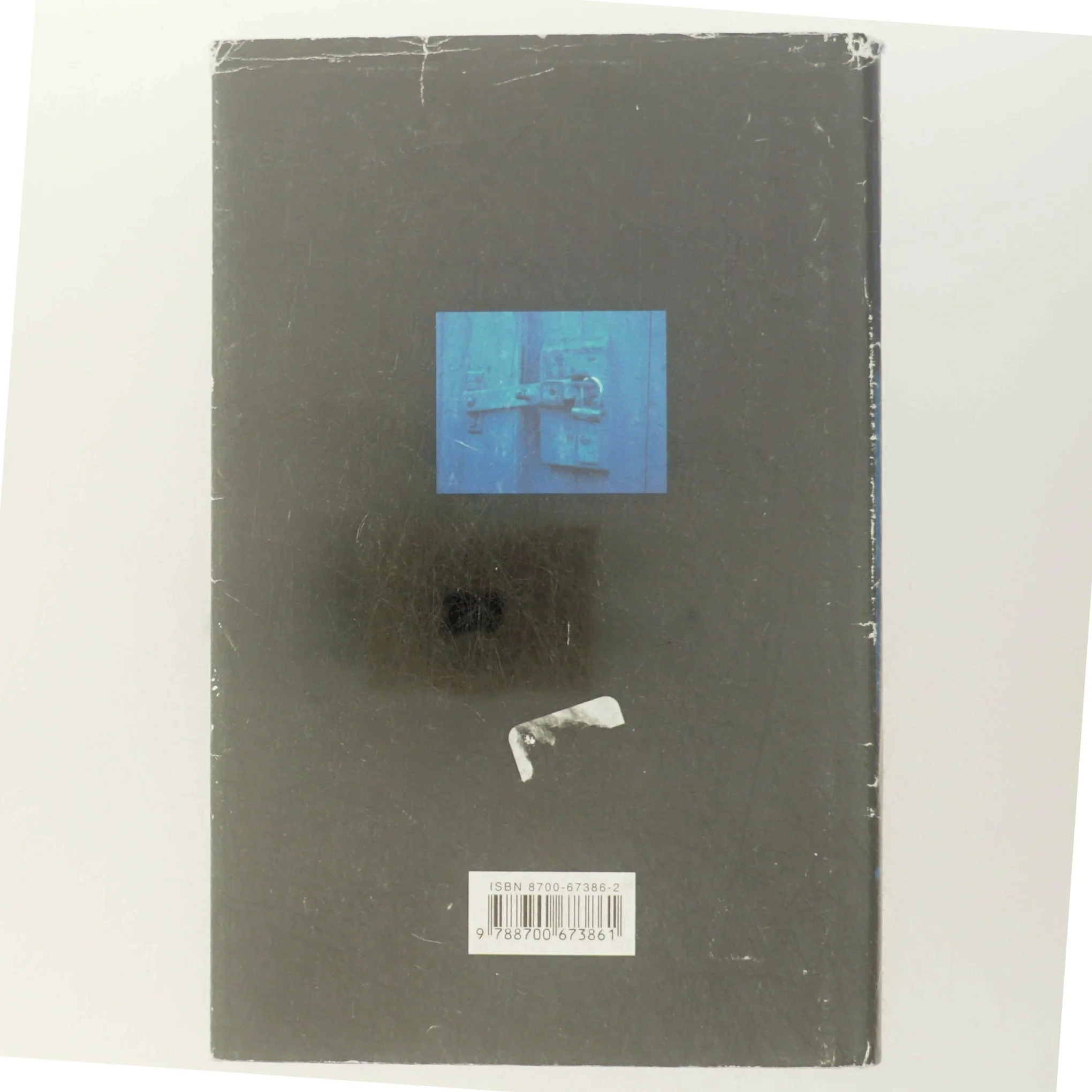 Brændingen : kriminalroman af Minette Walters (Bog)