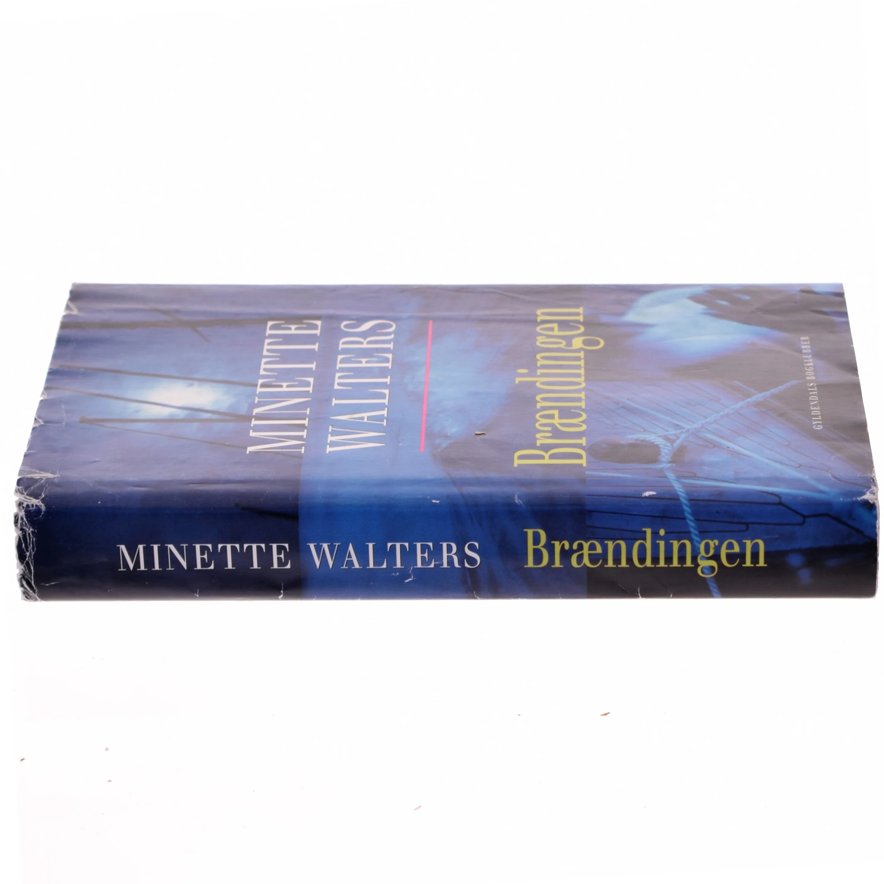 Brændingen : kriminalroman af Minette Walters (Bog)