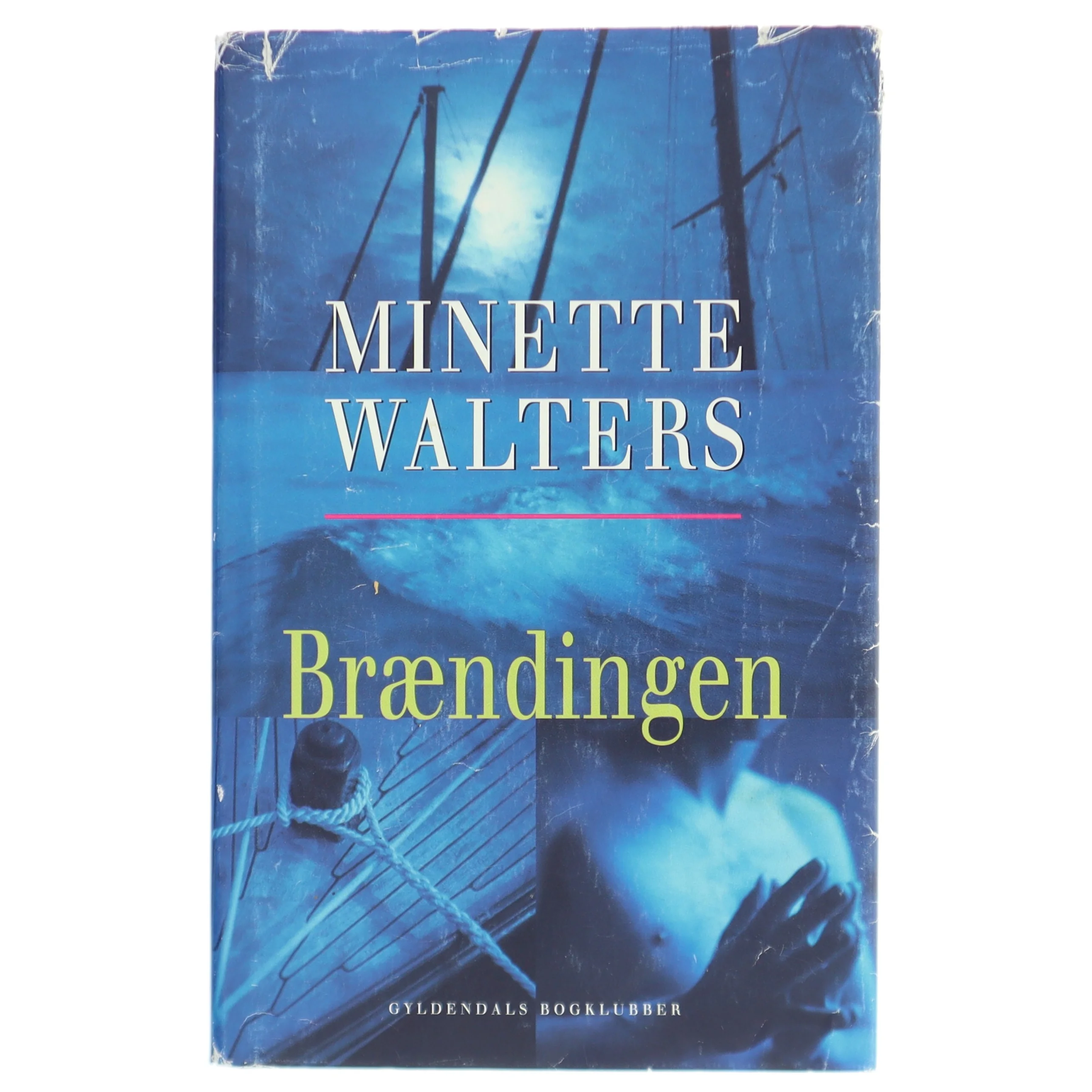 Brændingen : kriminalroman af Minette Walters (Bog)