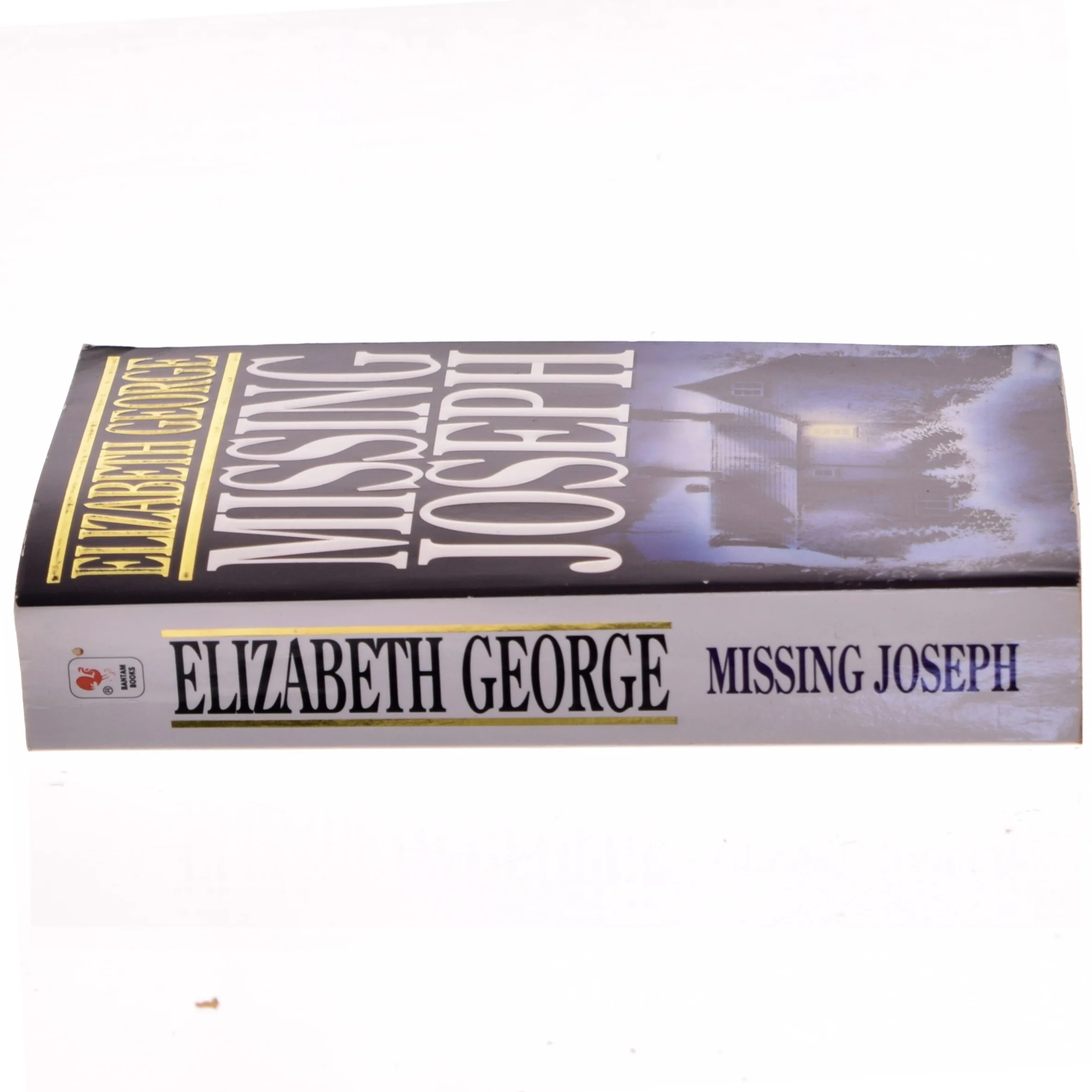 Missing Joseph af Elizabeth George (Bog)