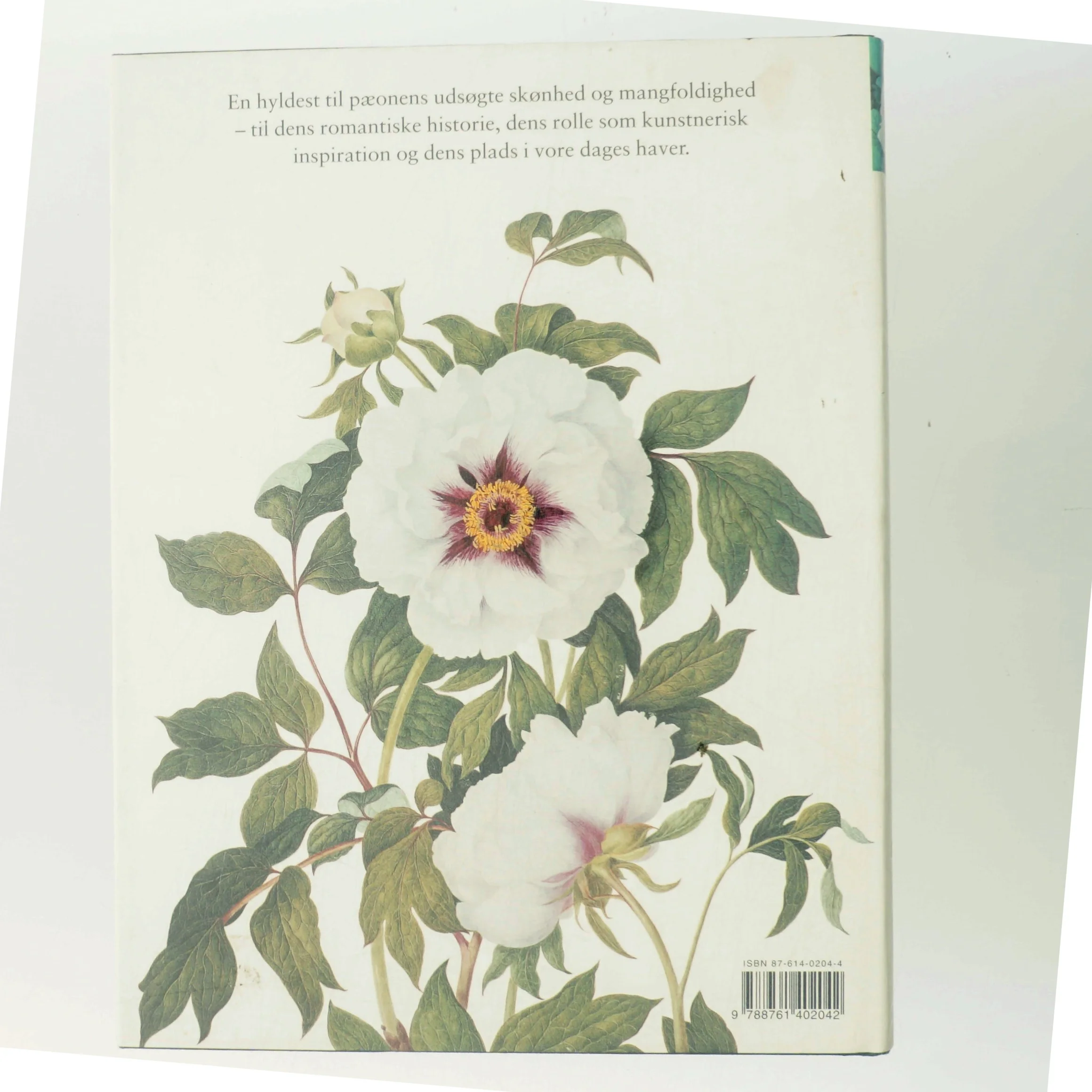 Pæoner af Jane Fearnley-Whittingstall (Bog)