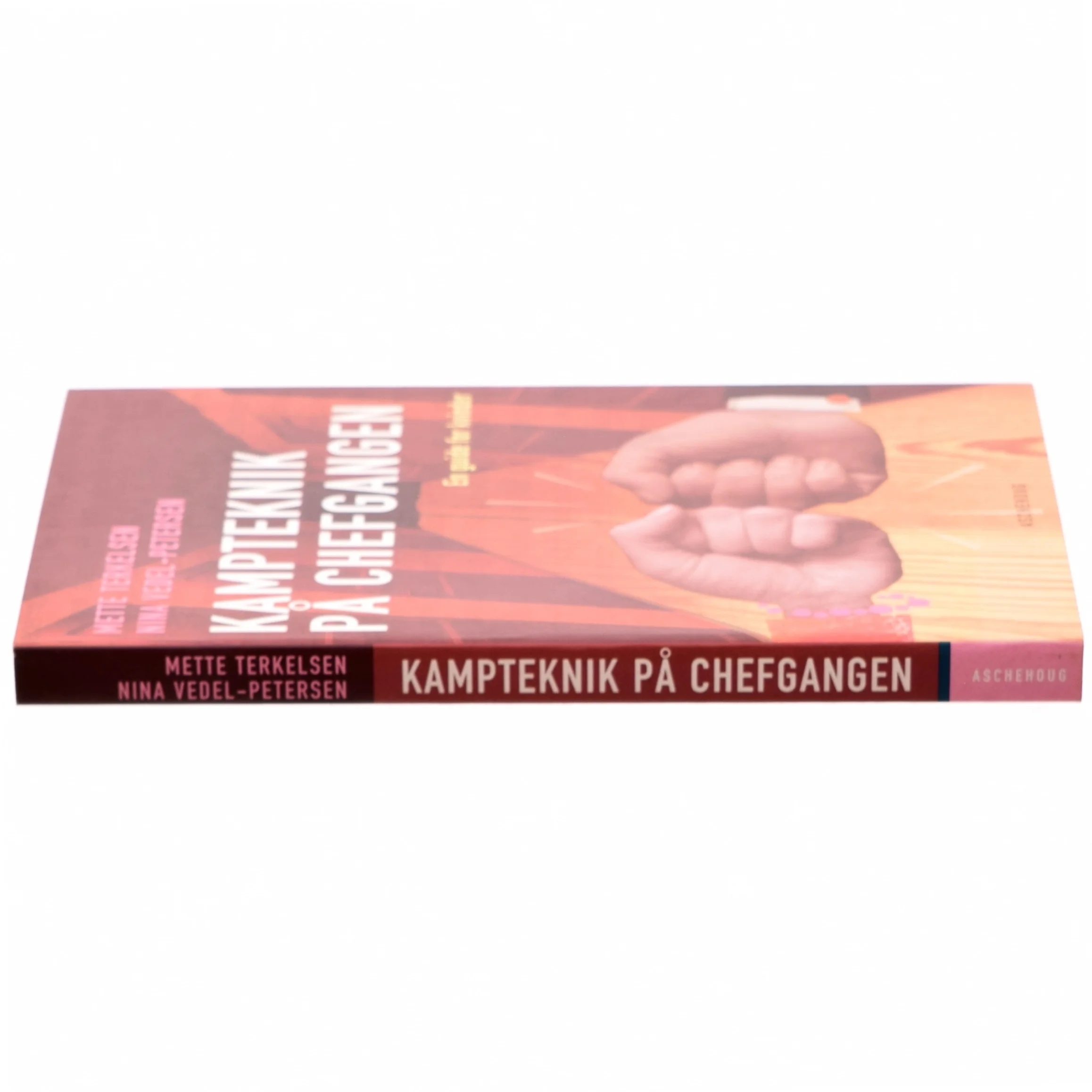 Kampteknik på chefgangen : en guide for kvinder (Bog)