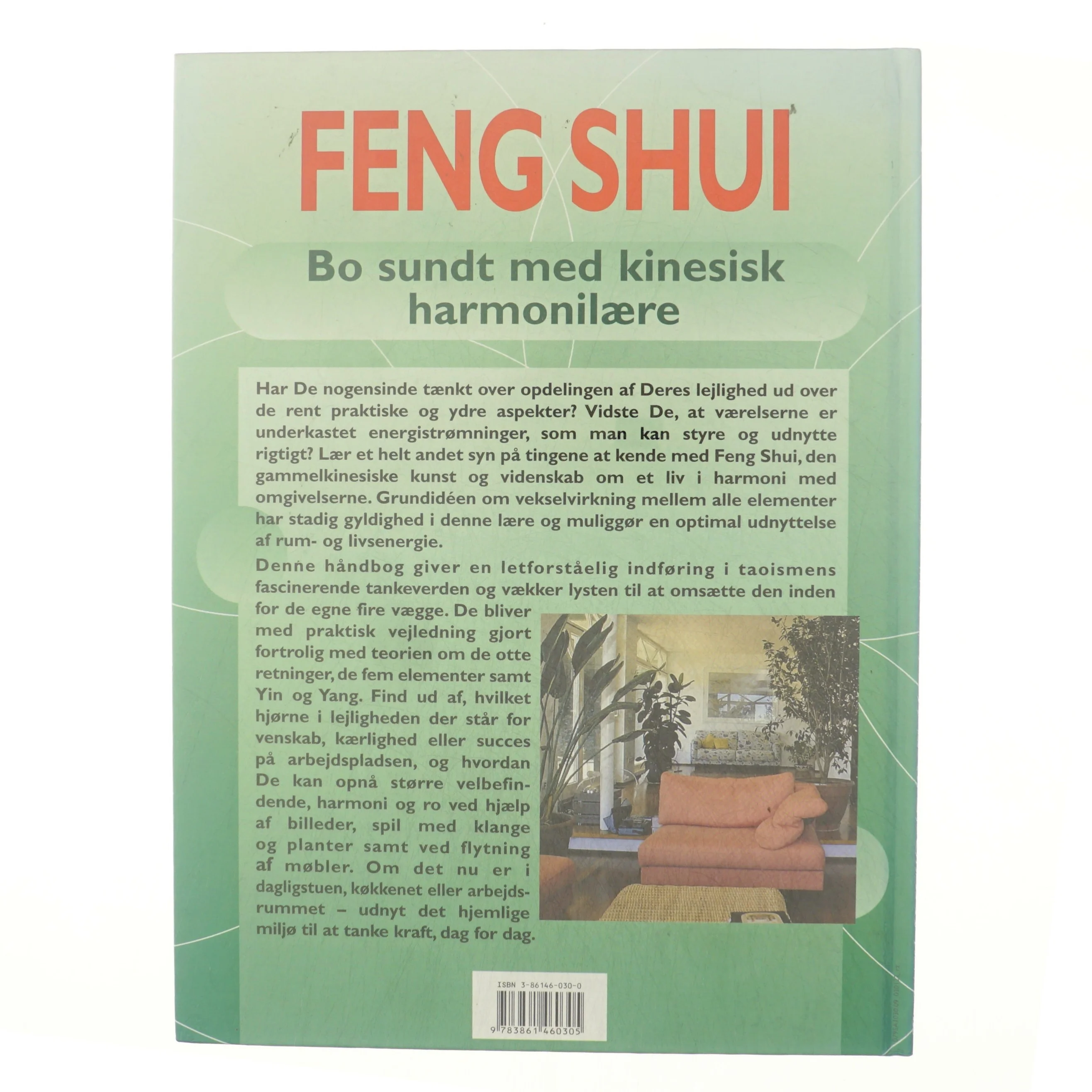 Feng Shui : bo sundt med kinesisk harmonilære af Georgia Schwartz (Bog)