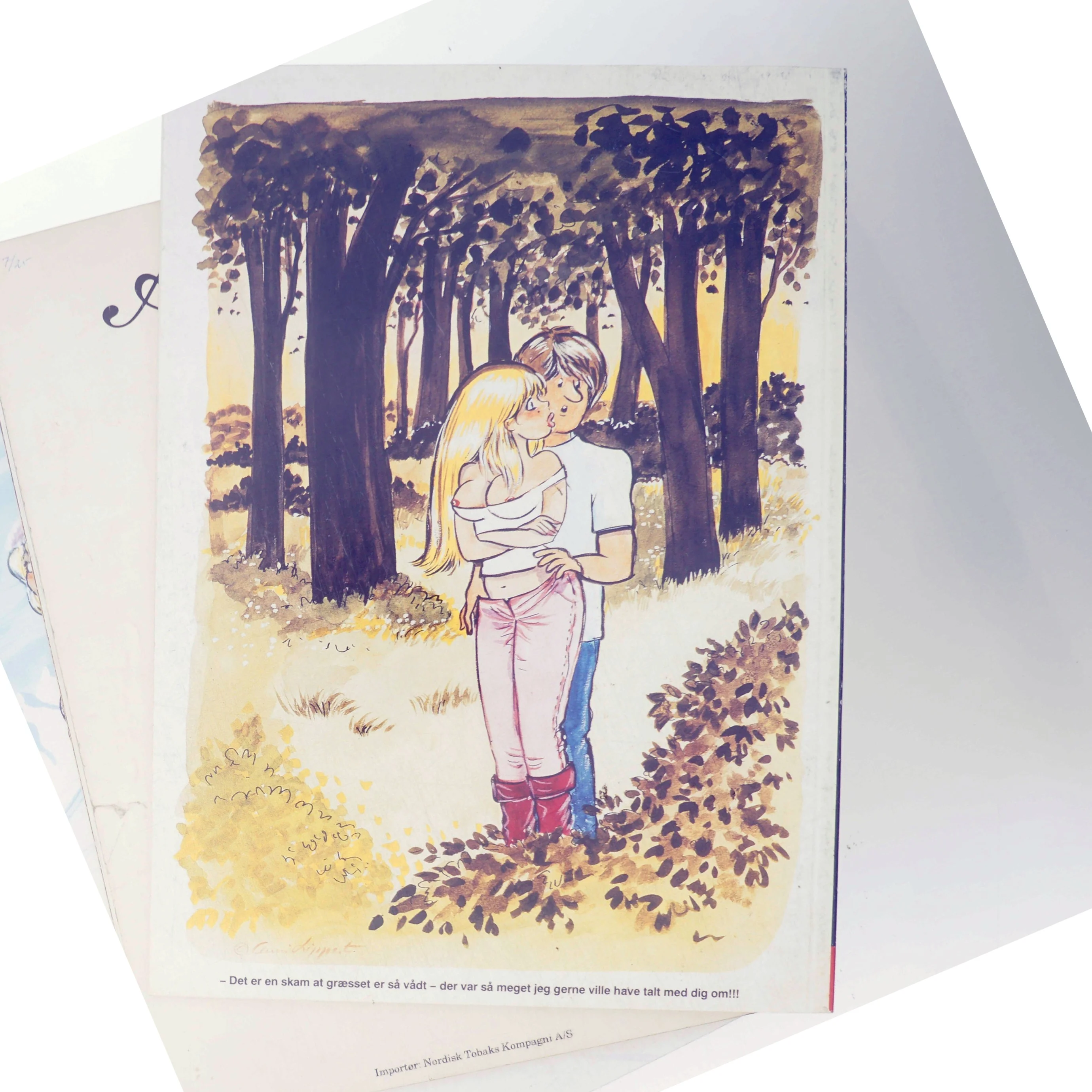 Hudibras 1988 Tegninger (Bog)