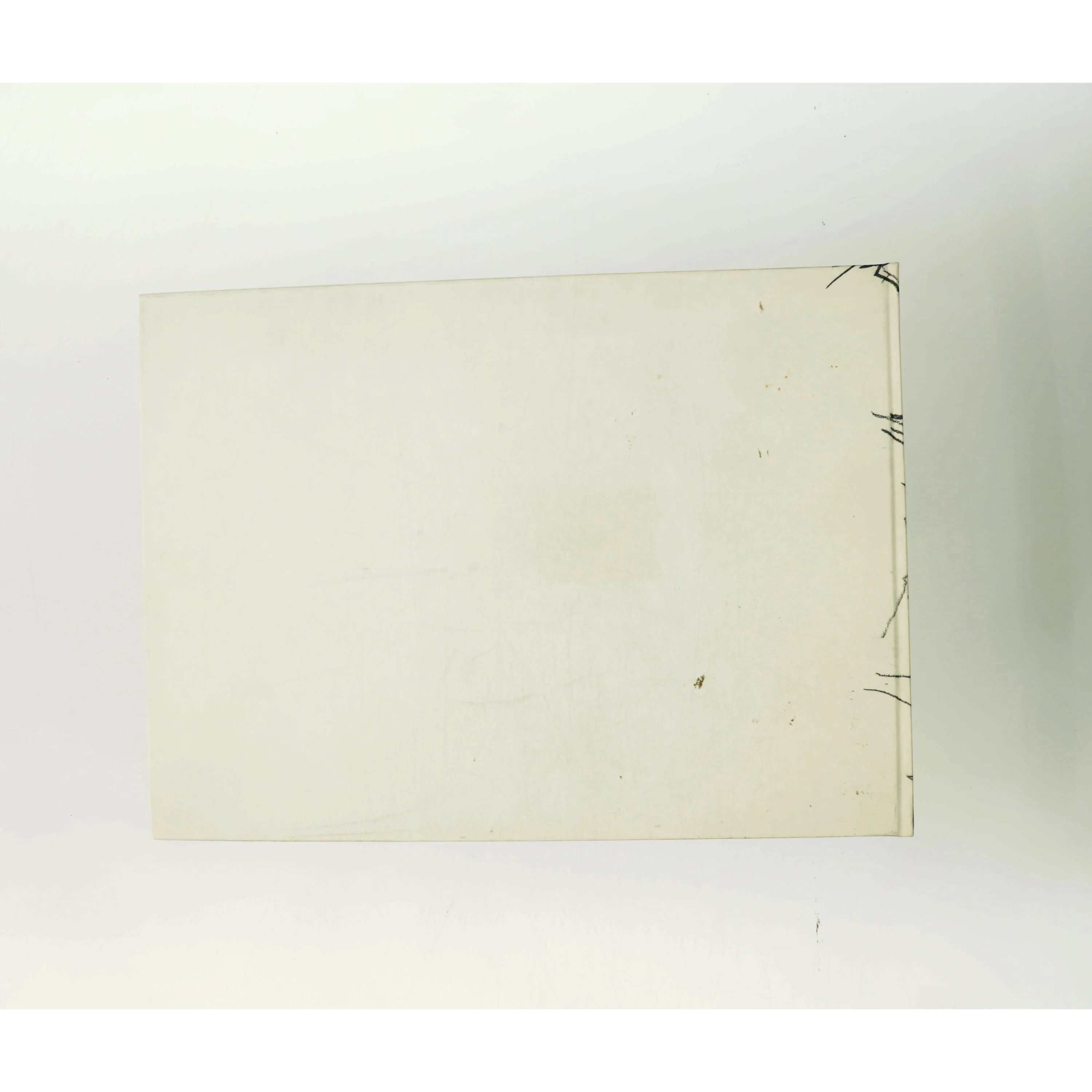 Fuglø af P.O. Hansen (Bog)