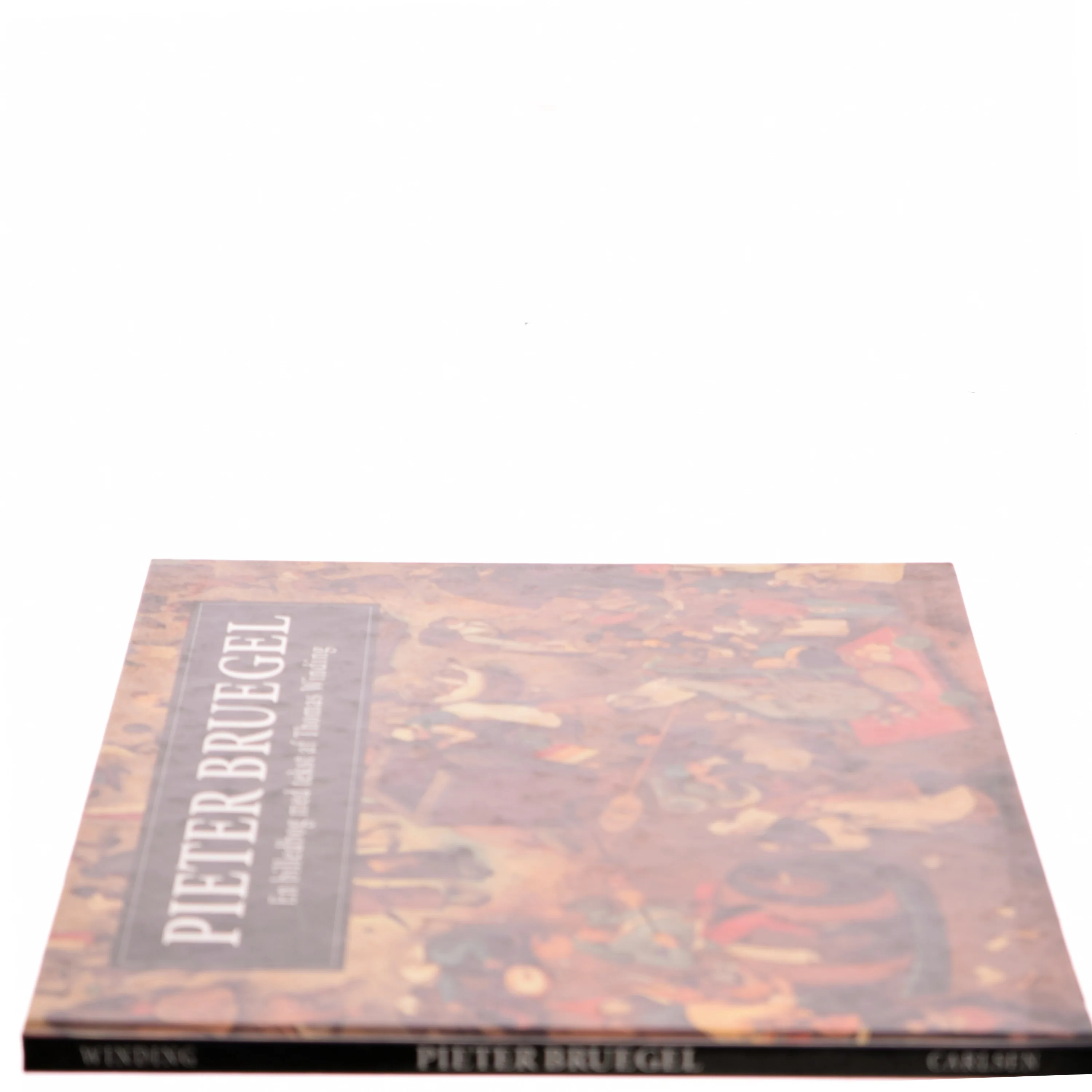 Pieter Bruegel : en billedbog af Thomas Winding (Bog)