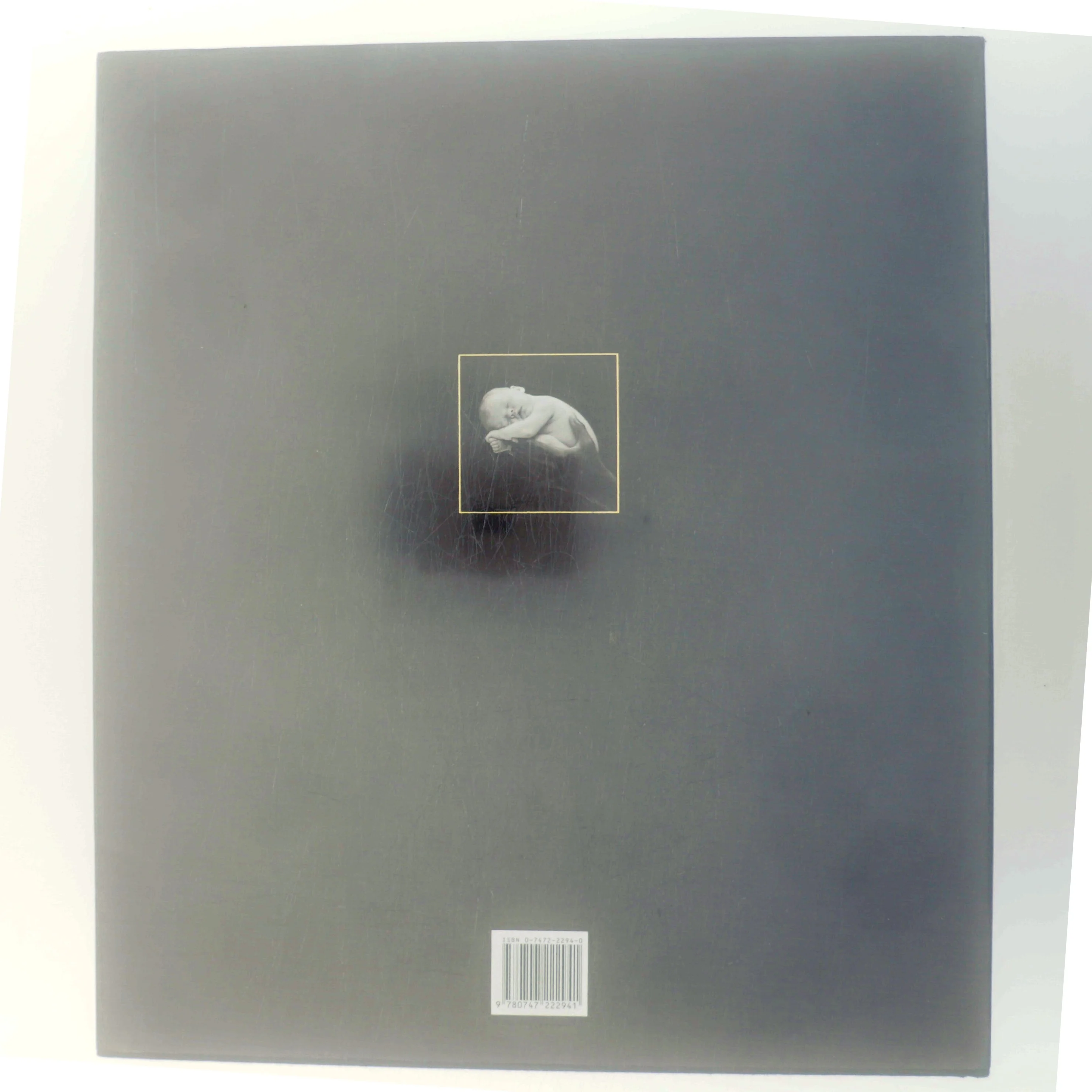 Until Now af Anne Geddes (Bog)