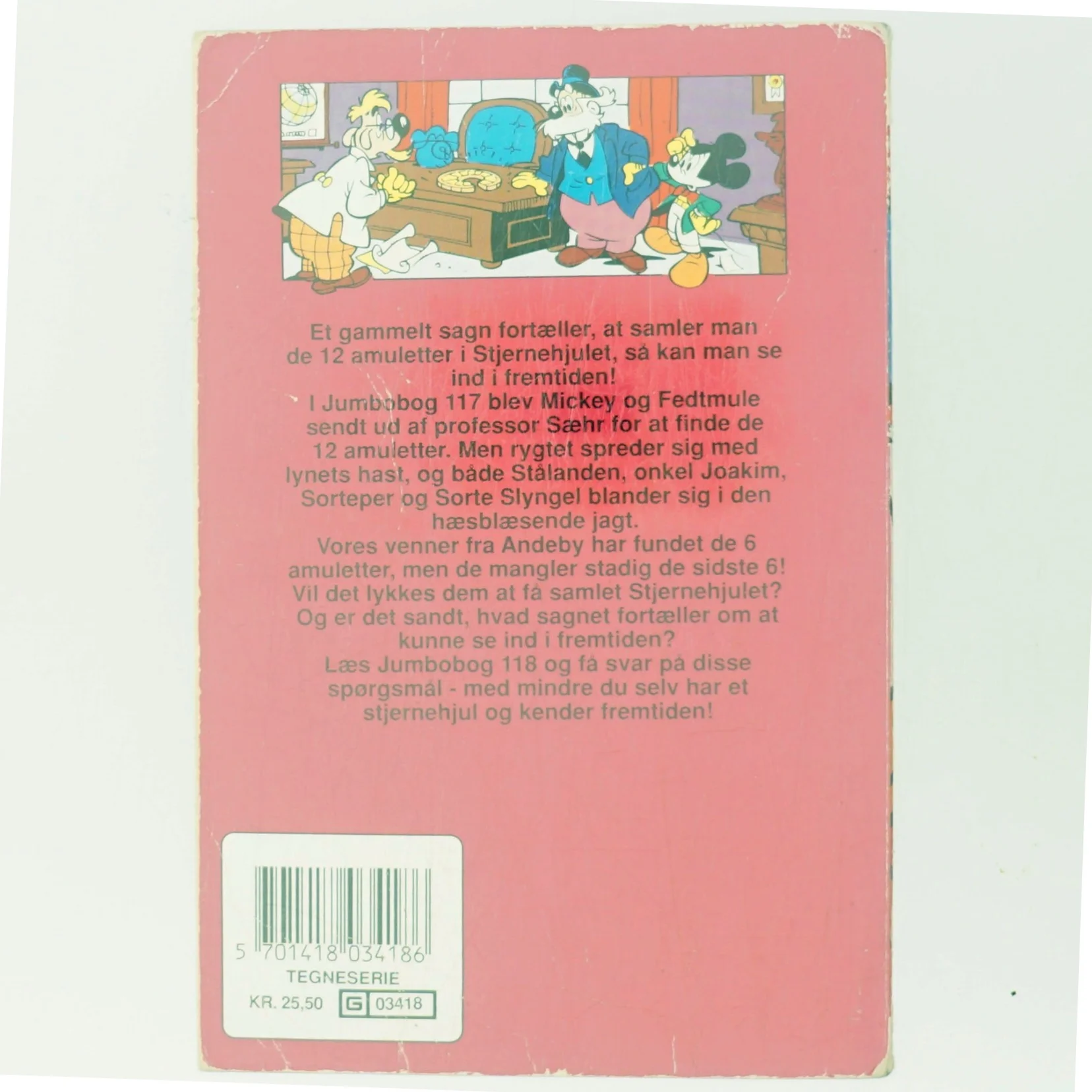 Jagten på Stjernehjulet (Bog)