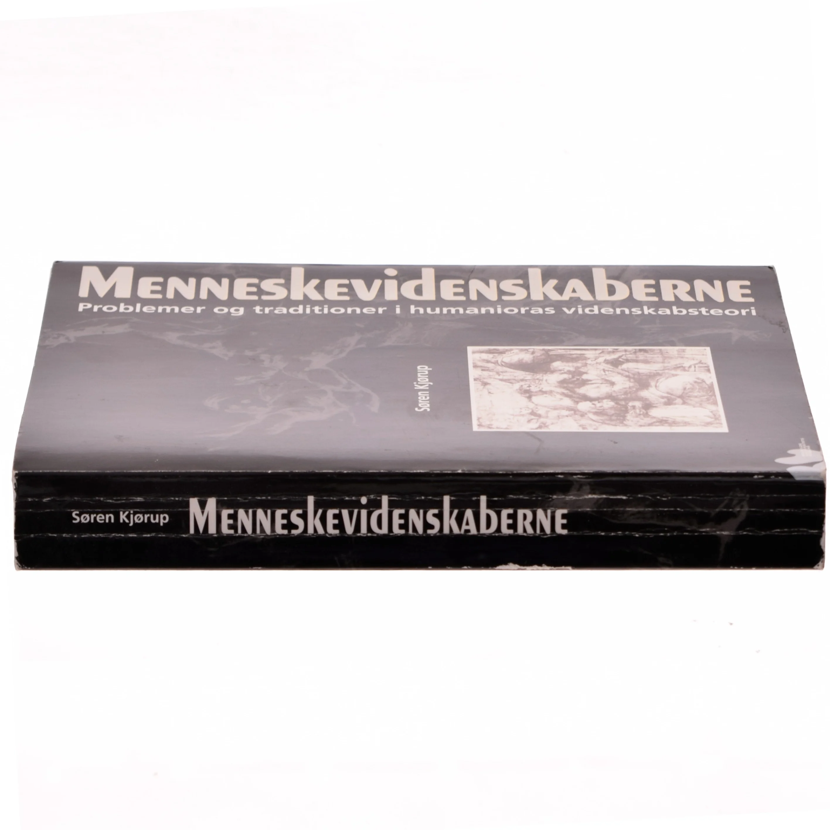 Menneskevidenskaberne : problemer og traditioner i humanioras videnskabsteori af Søren Kjørup (Bog)