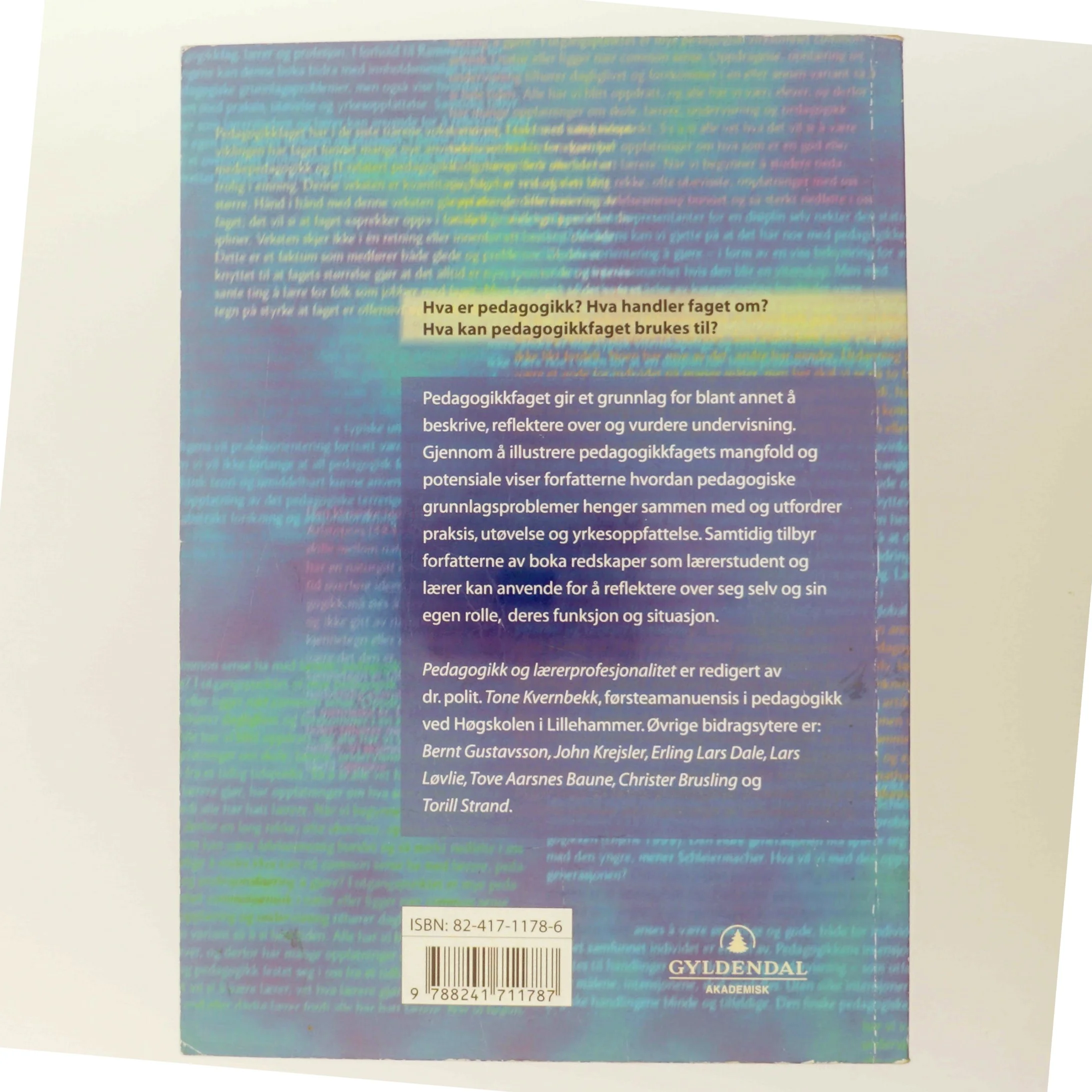 Pedagogikk og lærerprofesjonalitet af Tone Kvernbekk (Bog)