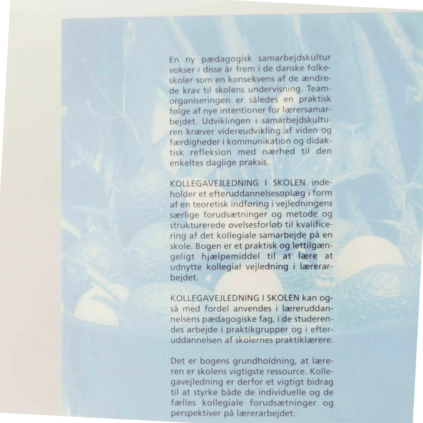 Kollegavejledning i skolen bog fra Forlaget Klim