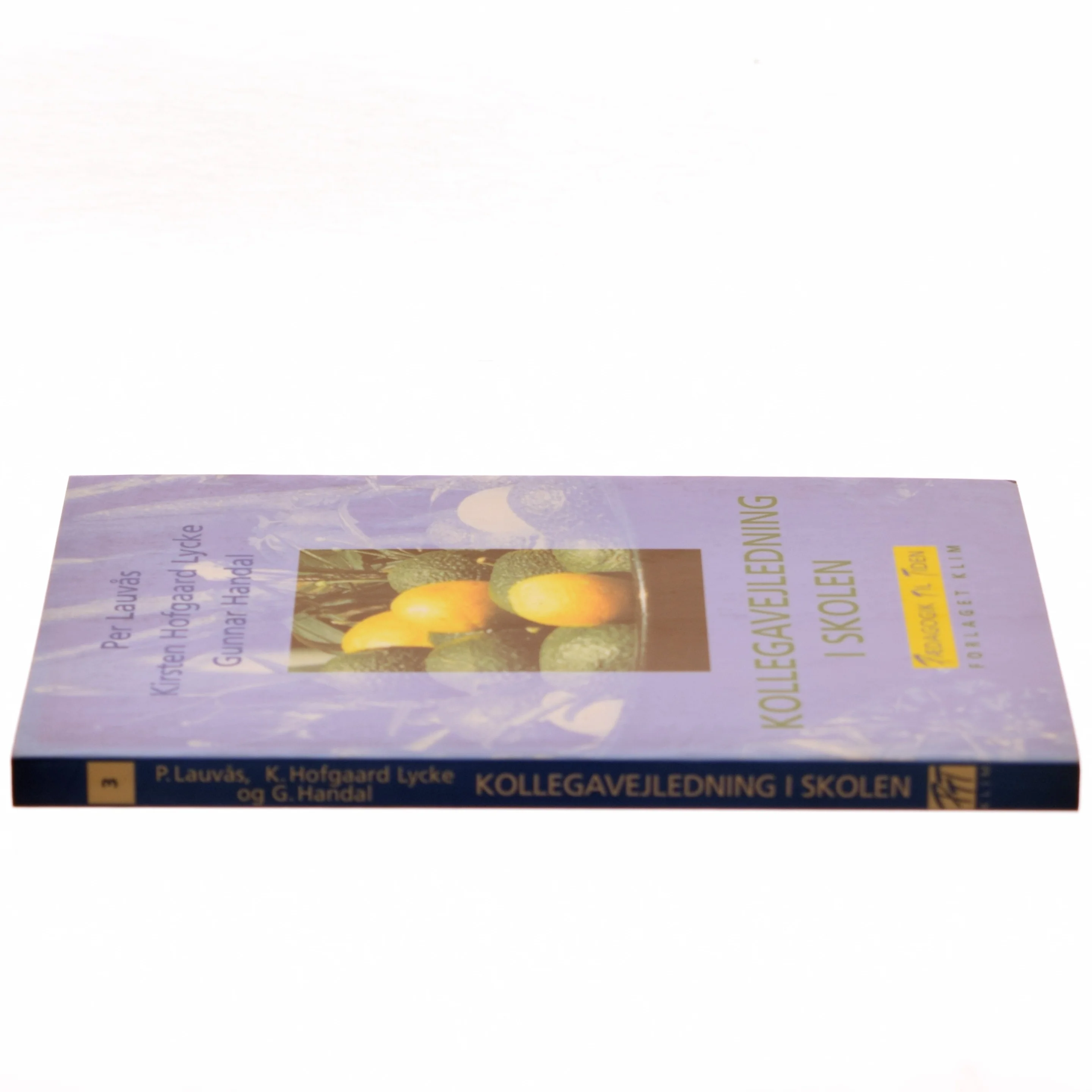 Kollegavejledning i skolen bog fra Forlaget Klim