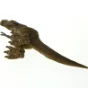 T rex (str. 35 x 6 x 30 cm)