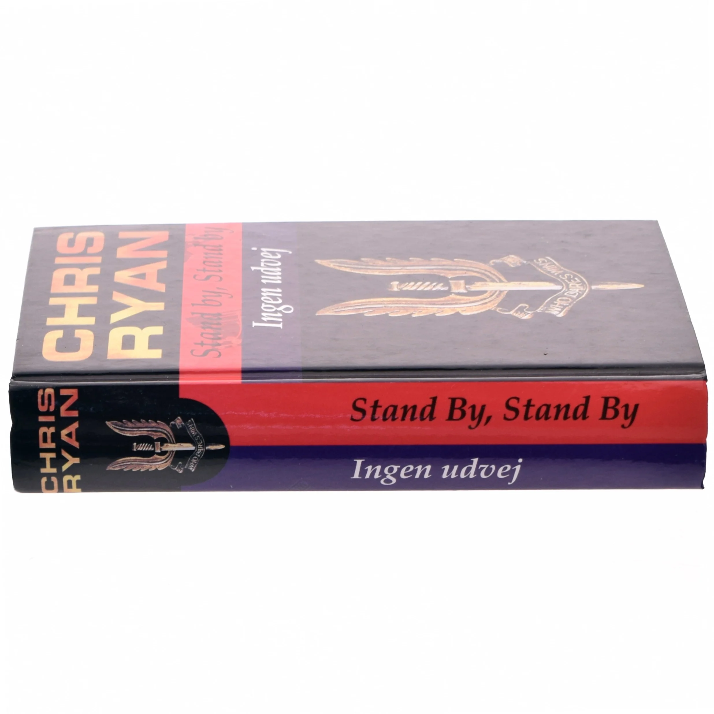 Stand by, stand by : Ingen udvej af Chris Ryan (f. 1961) (Bog)