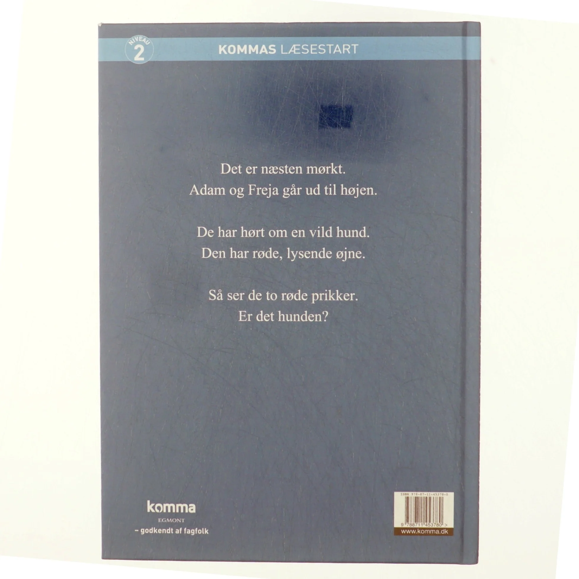 Øjne i natten af Jørn Jensen (f. 1946) (Bog)