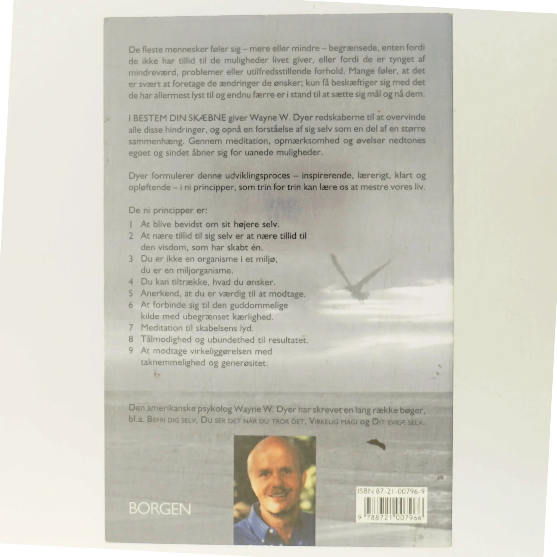 Bestem din skæbne : ni principper til opfyldelse af alle dine ønsker af Wayne W. Dyer (Bog)