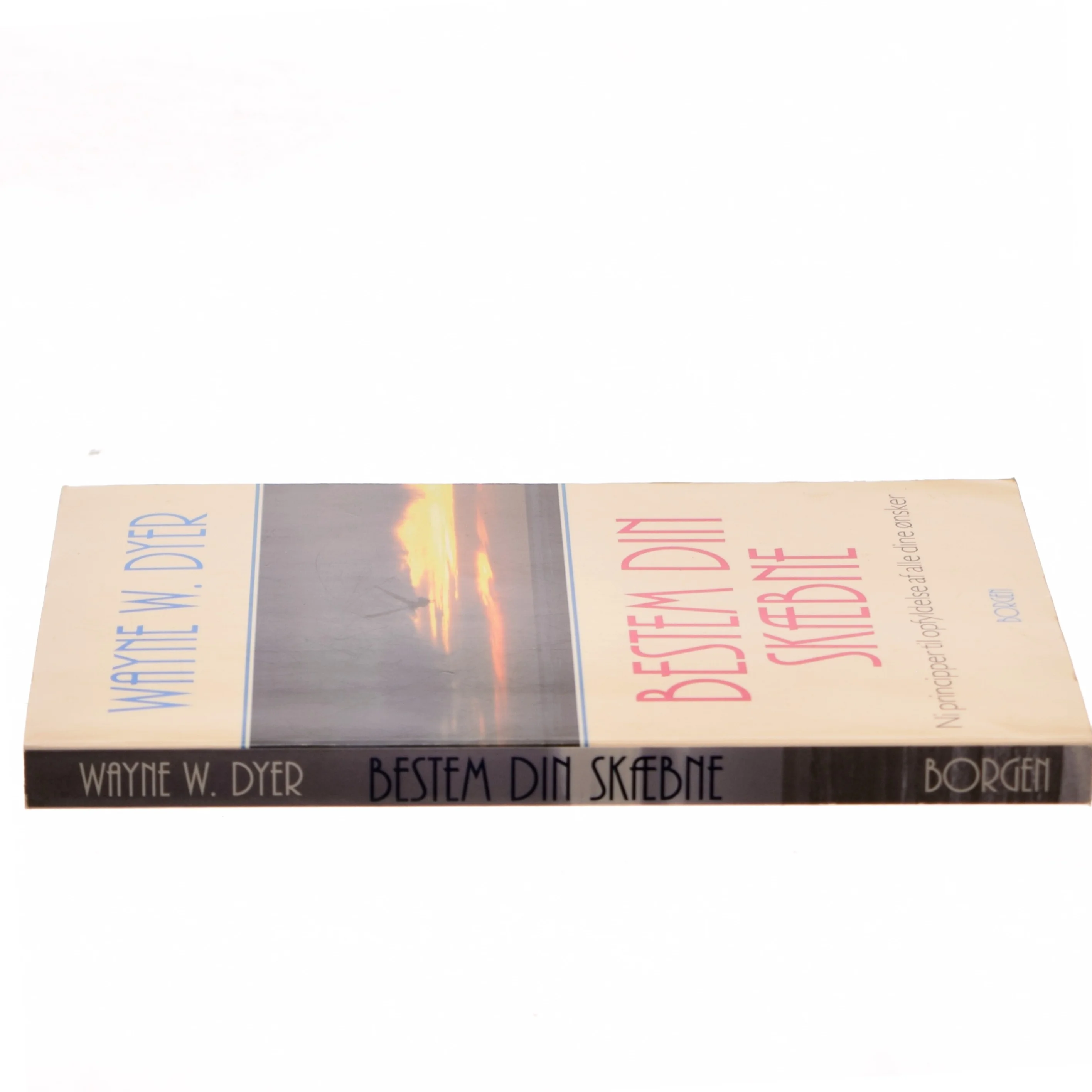 Bestem din skæbne : ni principper til opfyldelse af alle dine ønsker af Wayne W. Dyer (Bog)