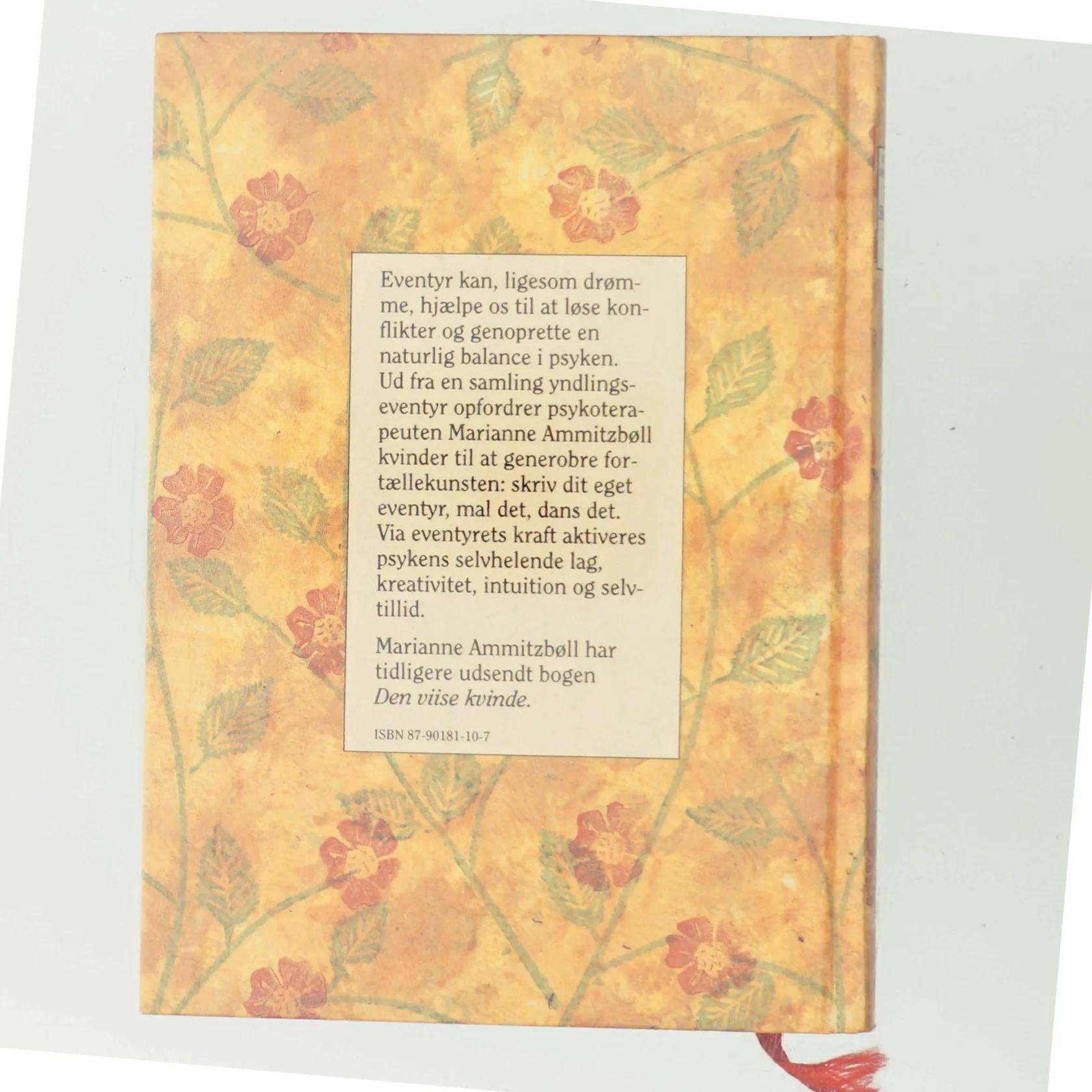 Den skjulte skat af Marianne Ammitzbøll (Bog)