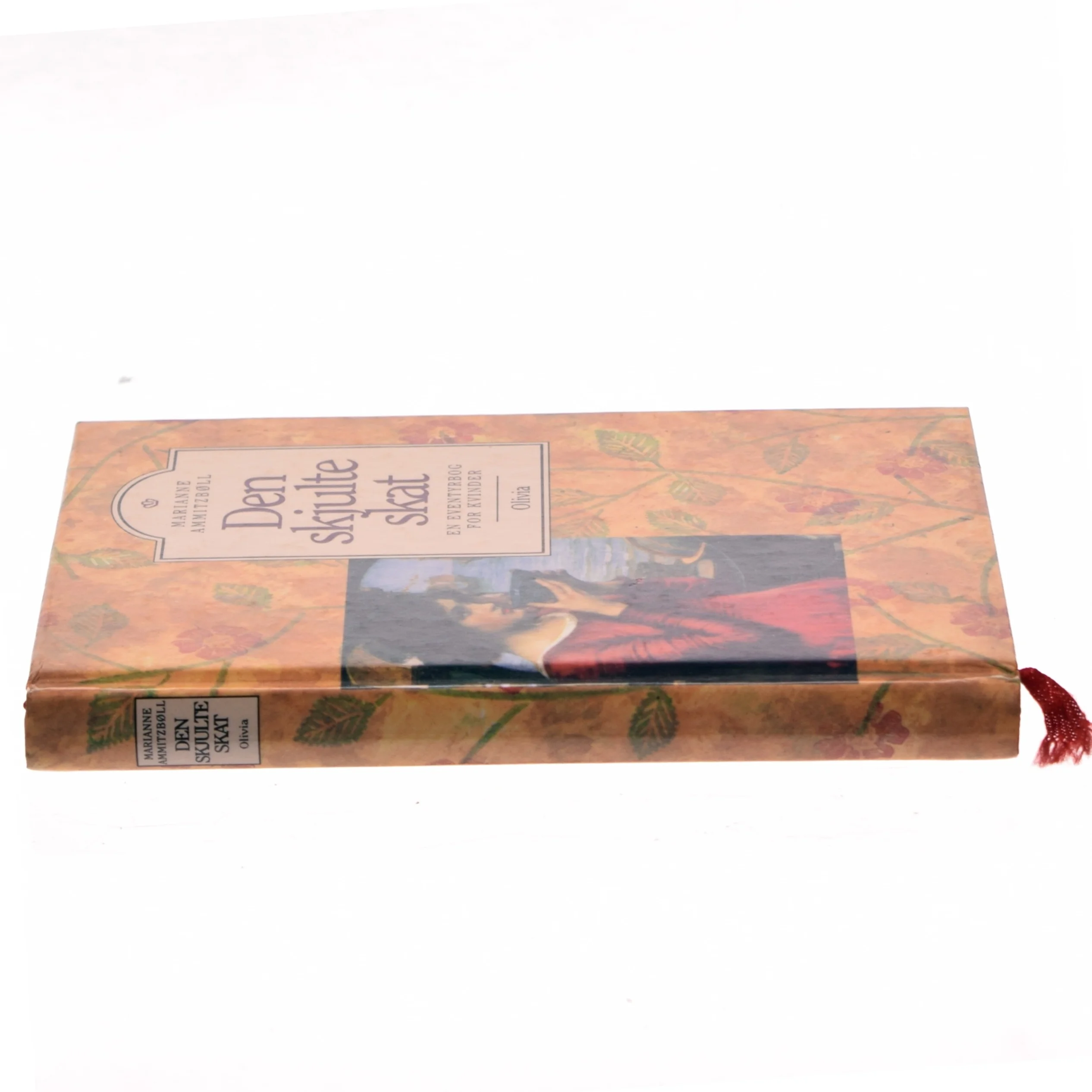 Den skjulte skat af Marianne Ammitzbøll (Bog)