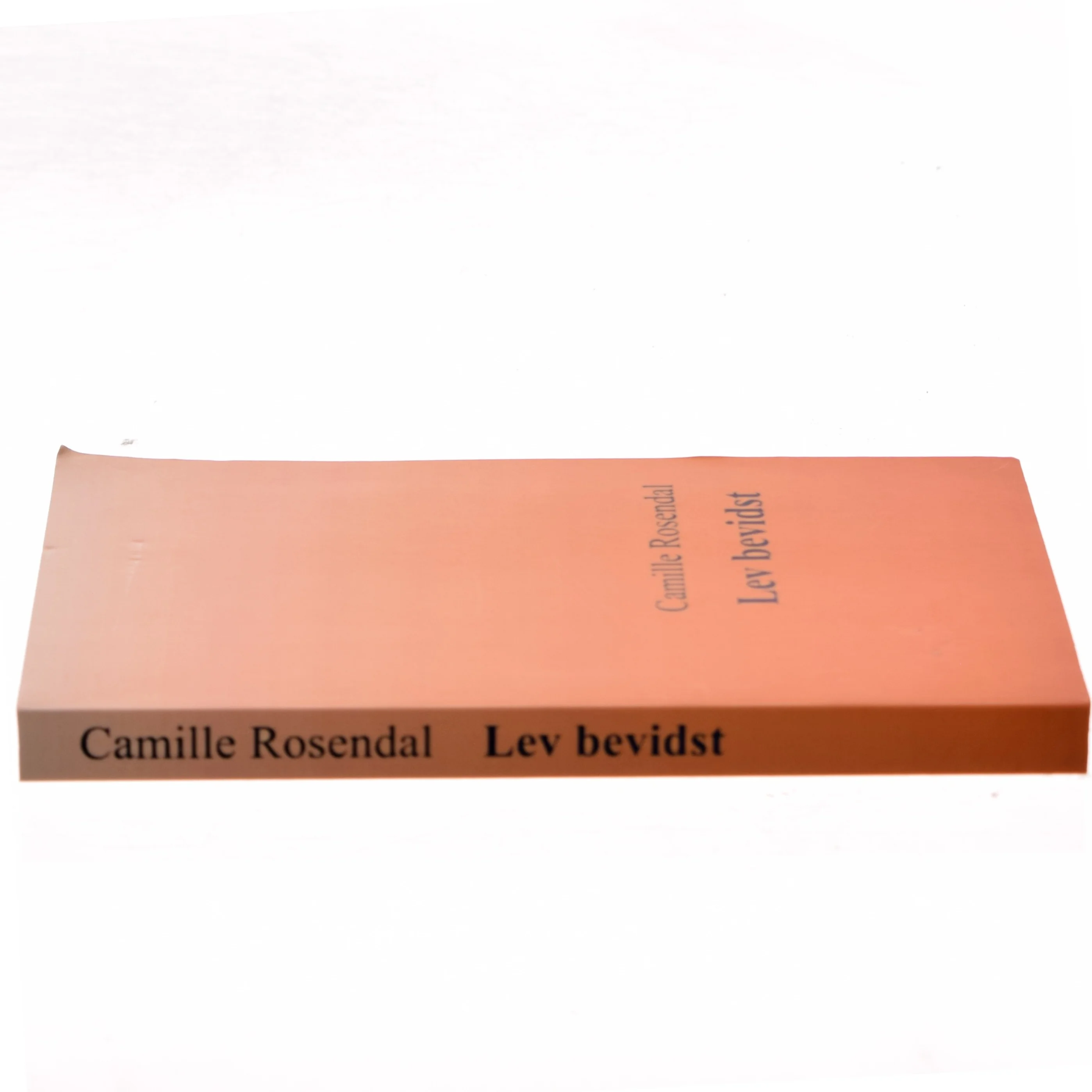 Lev bevidst af Camille Rosendal (Bog)