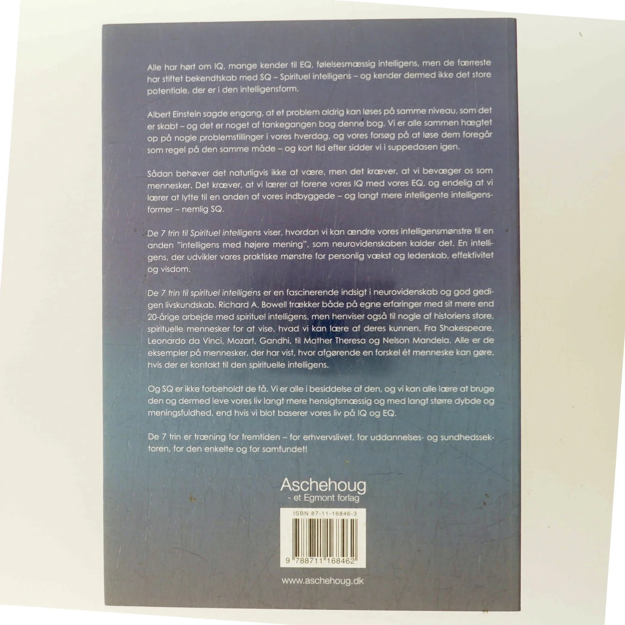 De 7 trin til spirituel intelligens : træning for fremtiden af Richard A. Bowell (Bog)