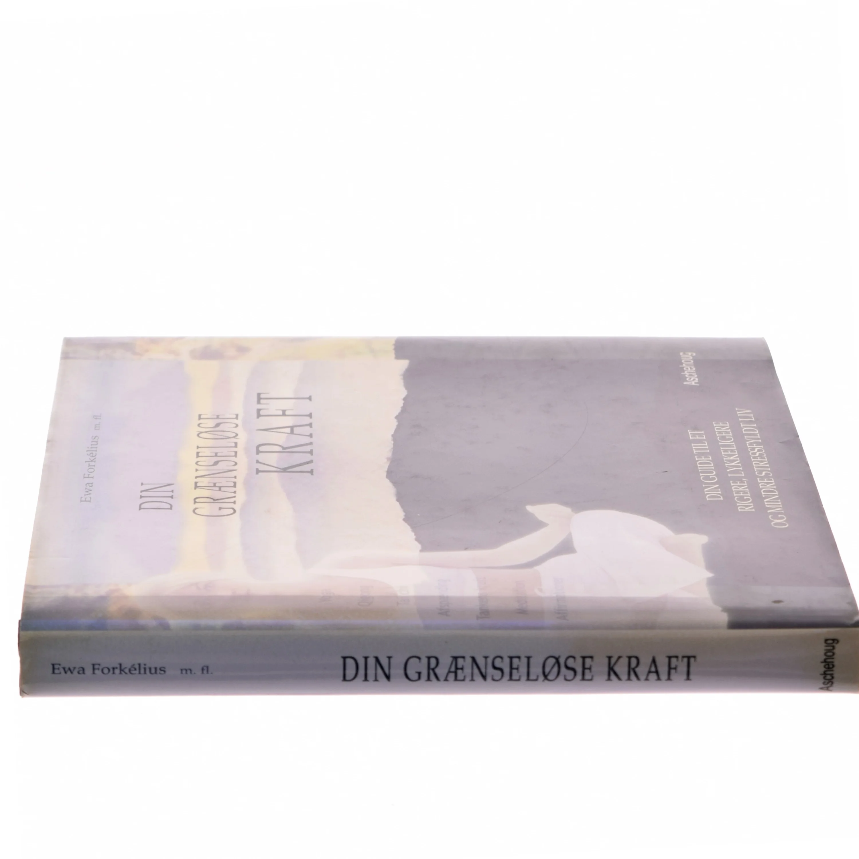 Din grænseløse kraft af Ewa Forkélius (Bog)